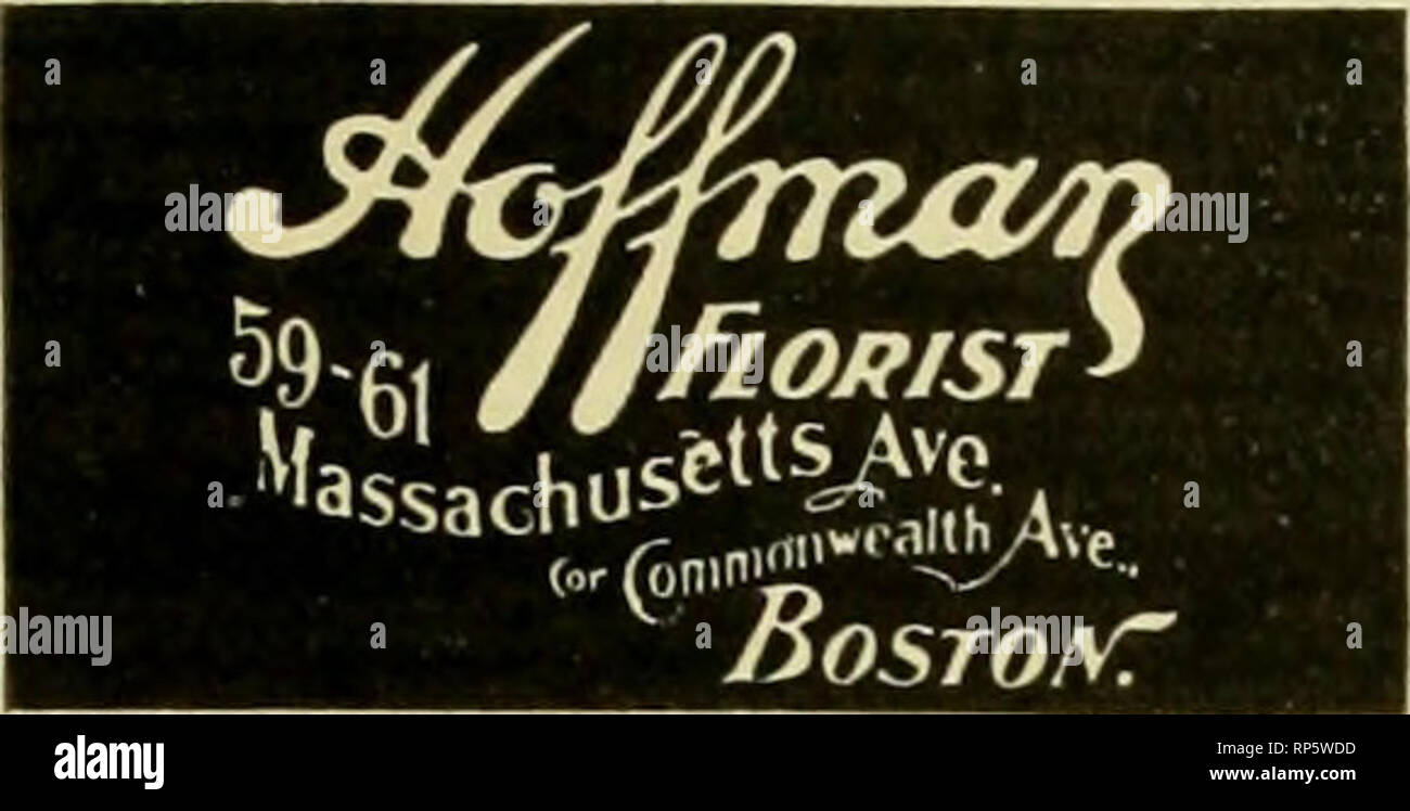 . The American florist : a weekly journal for the trade. Floriculture; Florists. /gog. The American Florist. 919 CUT FLOWERS OR DESIGNS will be Delivered for the Trade on Wire or Mail Orders in Best Qualities and Prices. Chicago. Established in 1857. FLORiST 1657-1659 Buckingham Place, L. D. Phone 558 Lake View. Send qs yoar retail orders. WE HAVE THE BEST FACU-ITIES IN THE CITY CUcago. HAIJSWIRTH FLORIST M. C. and J. E. Hauswirth. Auditorium Annex. Mailt telegraph or telephone orders OUad promptly in beat atyle* Cincinnati, O. JDUUS BAER, 138-140 E. Fourth St. Long Distance Thone. Cleveland, Stock Photo