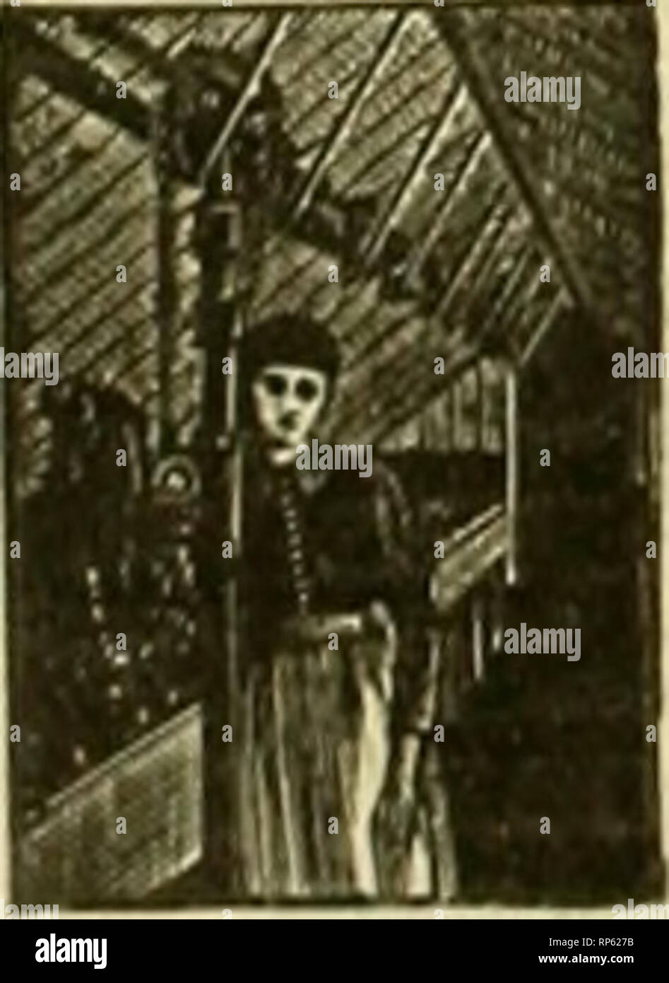 The American Florist A Weekly Journal For The Trade