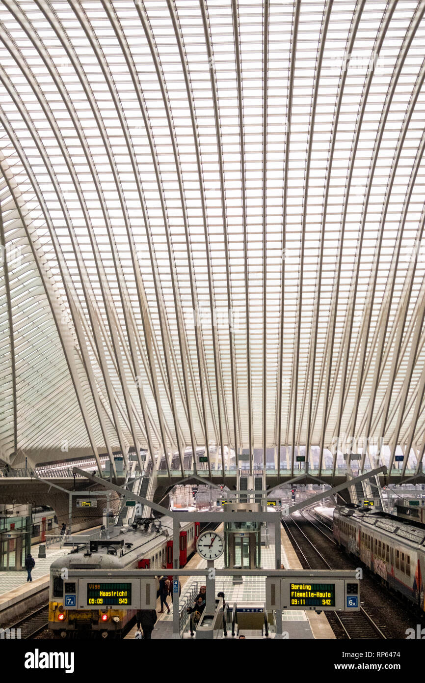 Trains, platforms and the magnificent roof of the Liège-Guillemins railway  station, designed by architect Santiago Calatrava, in Liège, Belgium Stock  Photo - Alamy