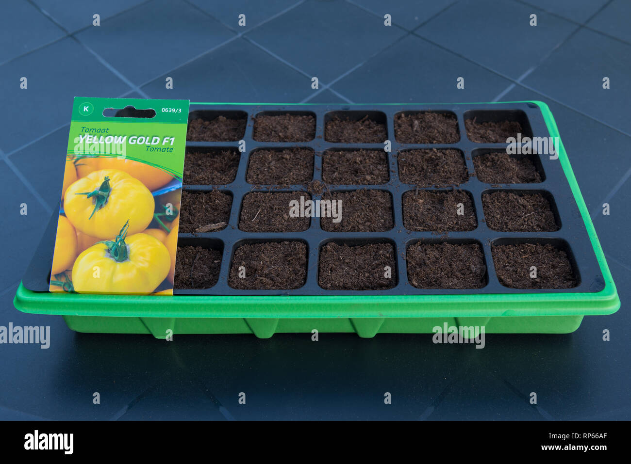 Green seedling container filled with potting soil. Tomato seeds type
