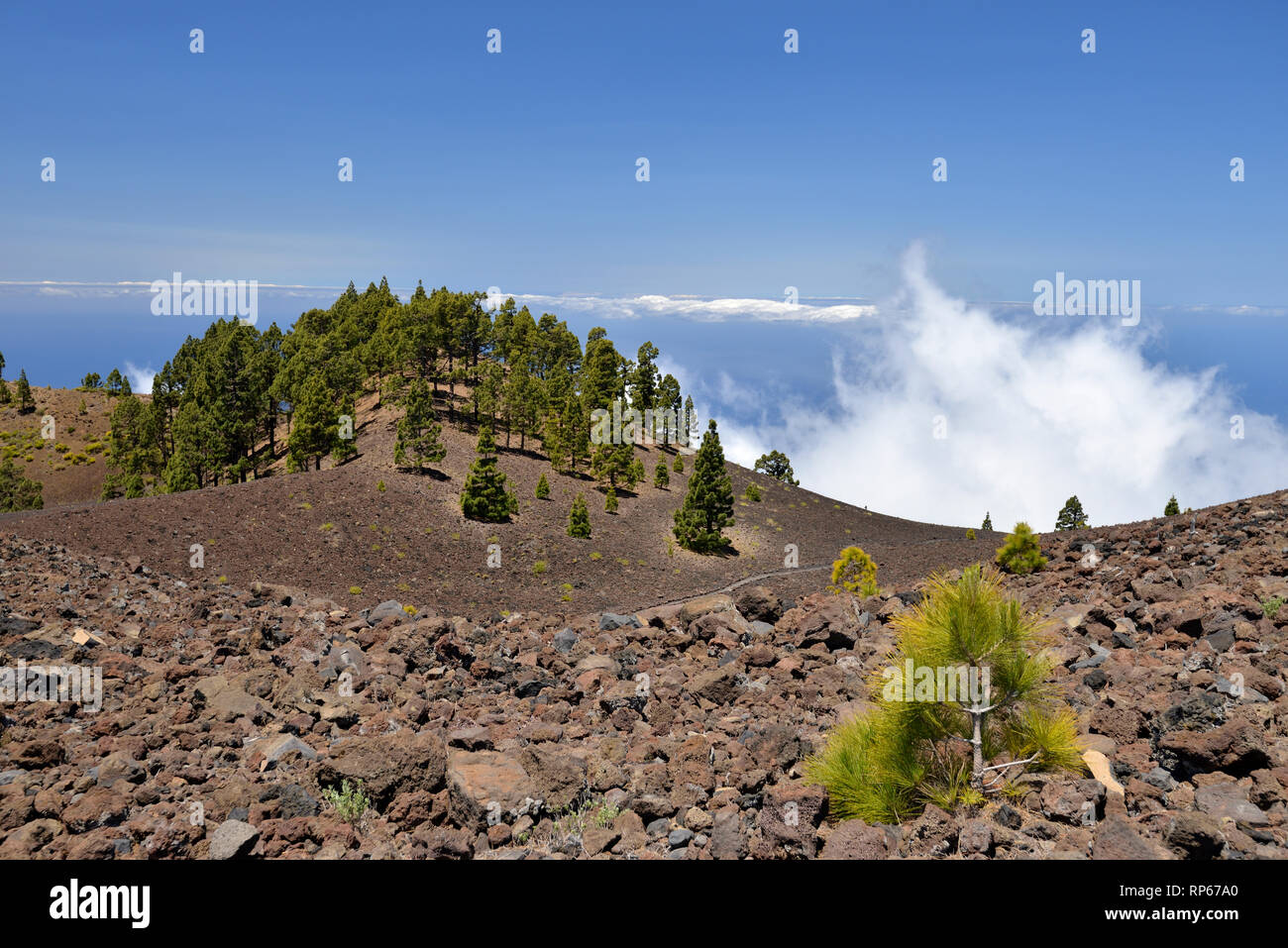 View from La Deseada Volcano, Cumbre Vieja, La Palma, Canary Islands, Spain Stock Photo