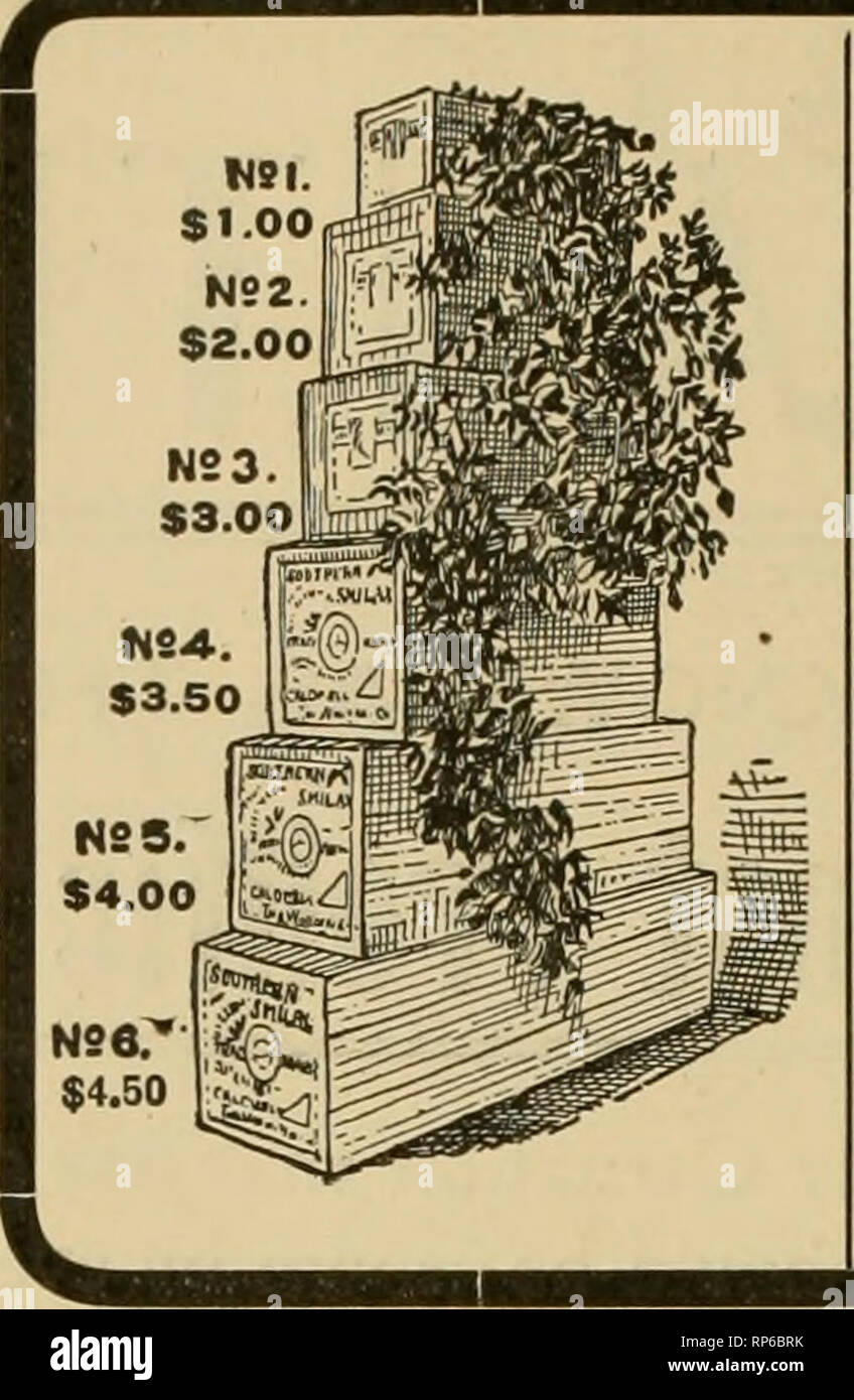 . The American florist : a weekly journal for the trade. Floriculture; Florists. 890 The American Florist. Jan. 2, Carnations WORTH GROWING. We Clin make prompt shipment on the follow- iog sterling and woll-lvnown varieties. Strong R. C. guaranteed free from all disease. PINK. Per 100 1000 Enchantress $5,50 J60.00 Mrs. E. A. Nelson 3.50 30.00 Mrs. Thos. W. Lawson 3.35 30 00 .Toost 1.75 15.00 Marquis 1.75 15.00 Enquirer 2.50 Dorothy 3.50 WHITE. Gov. Wolcott 3.50 30.00 Roston Market 3,50 30.00 Innocence 2,50 32,51 Glacier 1.75 1.5.00 White Cloud 1.75 15,00 Flora Hill 1.75 15.00 SCARLET. Crane 2. Stock Photo