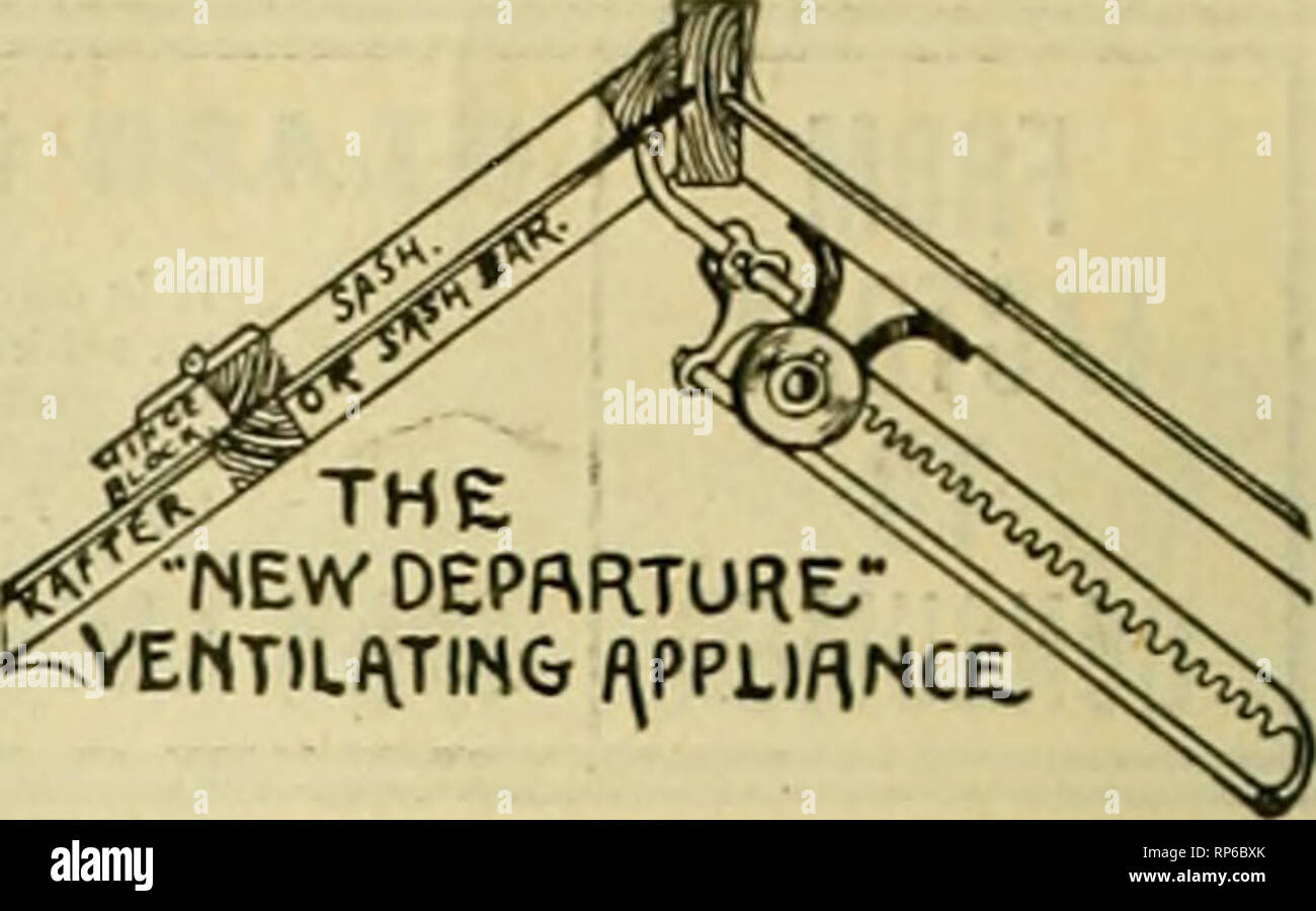 . The American florist : a weekly journal for the trade. Floriculture; Florists. 744 The American Florist. June 7, kidez to Advertlun. Advertising rates... 722 Allen JK 7 6 American B ower Co IV American Bulb Growers' Co 728 American Rose Co... I imhng E C '25 Asohmann Godfrey. 729 Bache SemoD &amp; Co. 743 Baldwin A J 734 Bailer FA 730 Barr B Frin '^l tfassoil •« W»»^; ,,, burn '2o '-^^ BaurSAltied J Buyersdorter H &amp; Co739 Beard Bros 7i9 Beaulieu H If Benlhey&amp;Co...... ^f BeigerHH&amp;Co... 7^8 Bernheimei Eugene .28 Kerning HQ 724 Bloom J S If Bonnot Bros 'j' BonballJos £..?••• &quot;| Stock Photo