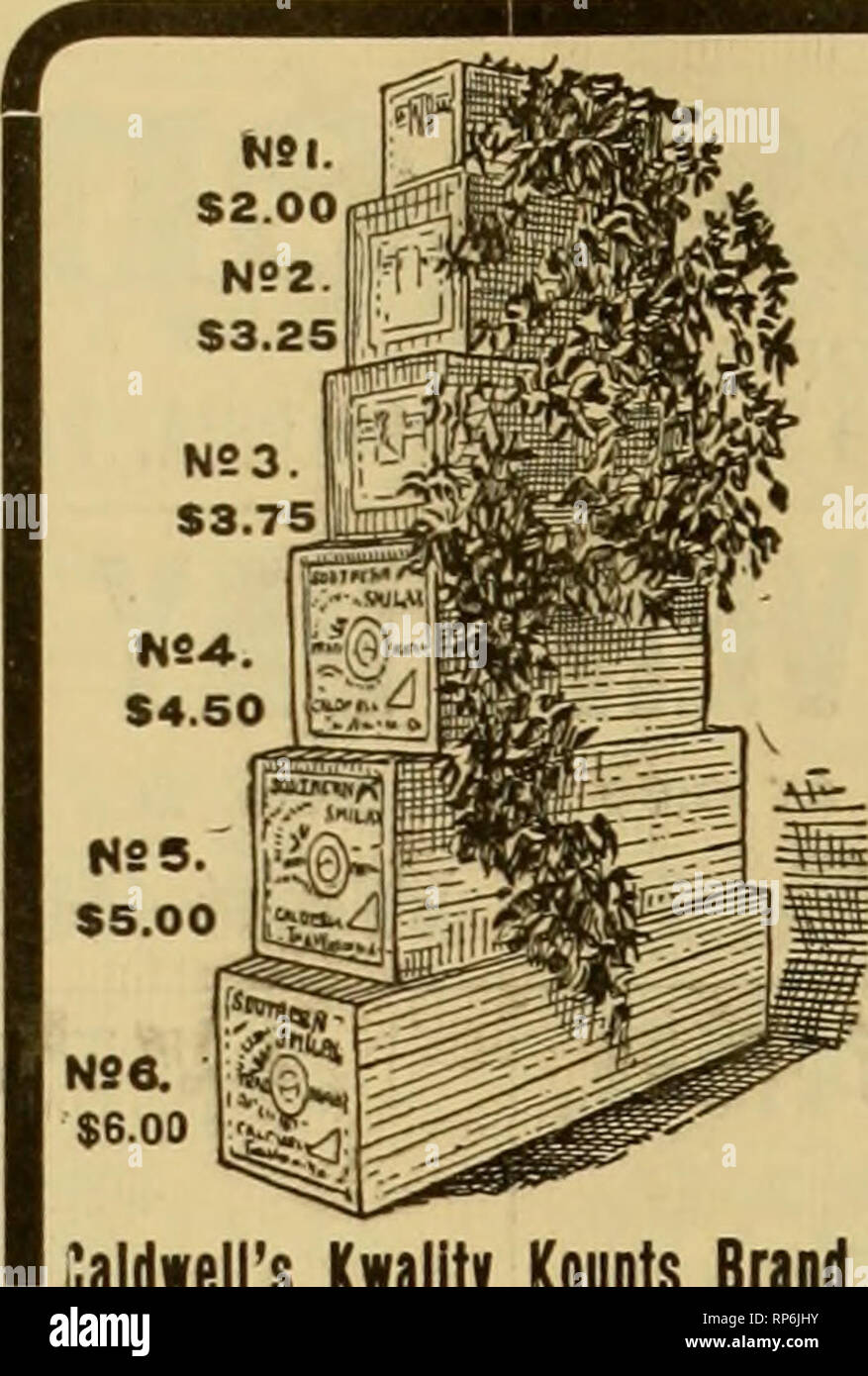 . The American florist : a weekly journal for the trade. Floriculture; Florists. J. B. DEAMUD, WHOLESALE CUT flOWERS 51 Wabash Ave., G^XGA-GO. Daldwell's Kwality Kounts Brand CONSTANTLY ON HAND. PRICE LIST. PerDoz Beauties, 30 to 36 inch stem «8.00 to »10.00 20 to 24 inch stem 6.00 to 8.00 &quot; 15 to 18 inch stem 4.00 to 6.00 •iV-. &quot; 12 inch stem 4.00 Per 100 ^g Liberty and Chatenay 6.00 to 20.90 *&quot;&quot;&quot; Brides and Bridesmaids lOOO to 15.00 Meteor and Golden Gates 10.00 to 15.00 Carnations 5.00 to 6.00 fancy 8 00 to 10.00 Valley 2.00 to 4.00 Violets, double 1.50 to 3.00 &quo Stock Photo