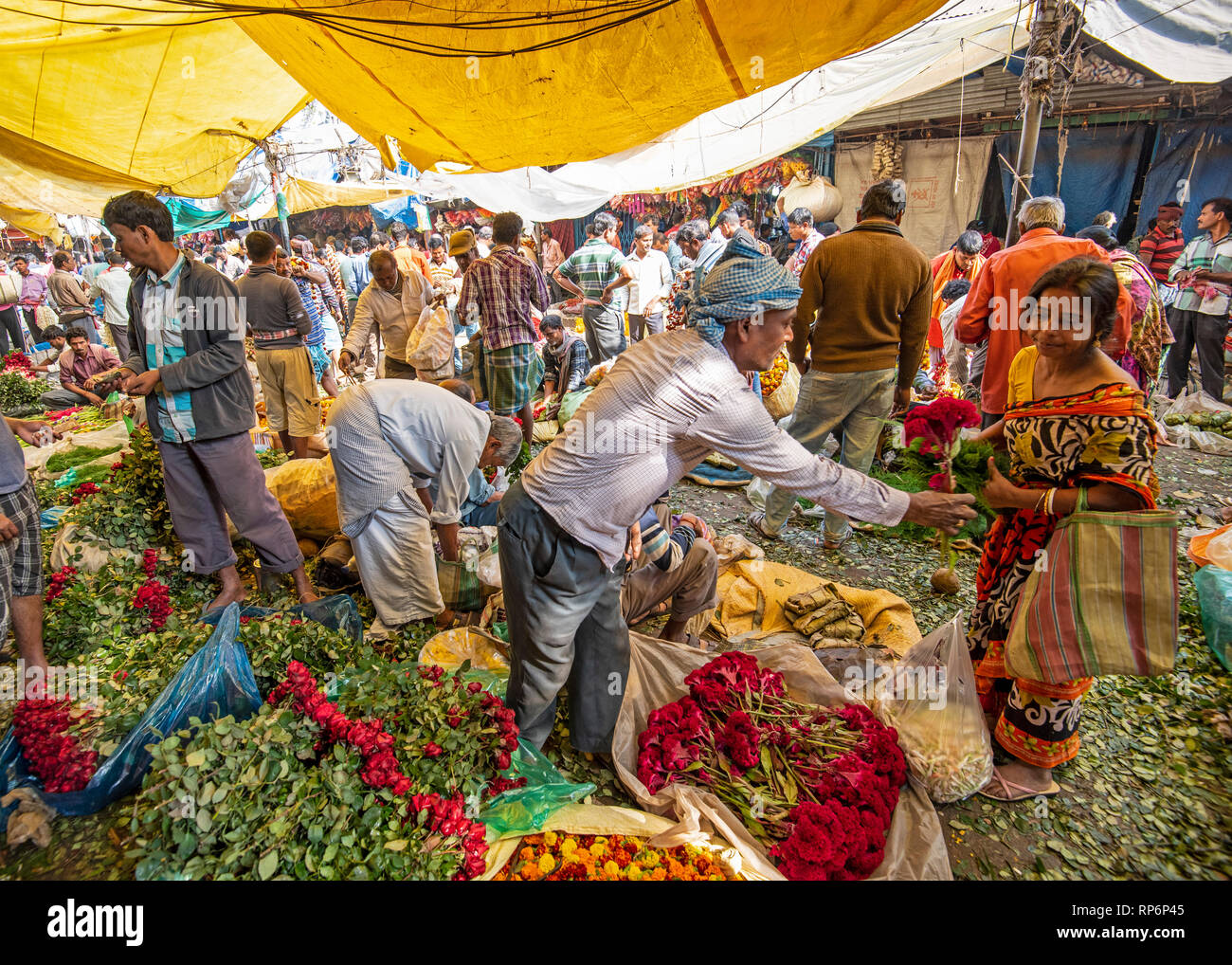 Crowds of local people sellers and buyers showing the hustle and bustle of the Mullick Ghat Flower Market. Stock Photo