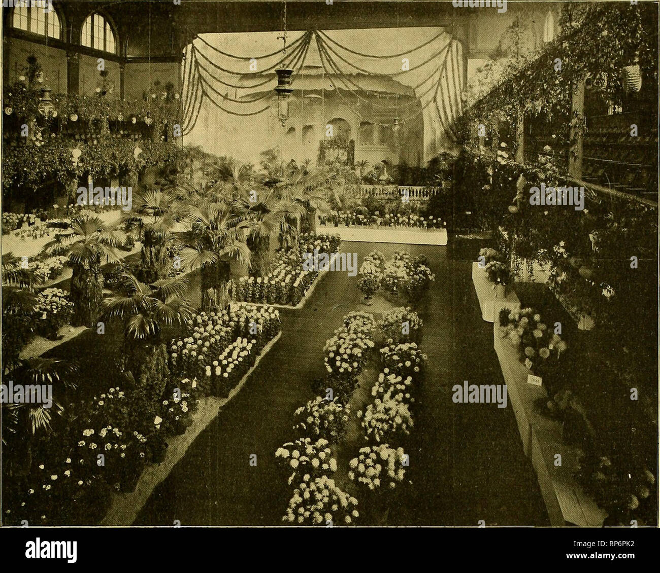 The American florist : a weekly journal for the trade. Floriculture;  Florists. tgoT. The American Florist. 547. GENERAL VIEW OF THE INDIANAPOLIS  EXHIBITION, NOVEMBER 6 TO 9. together with some novelties.