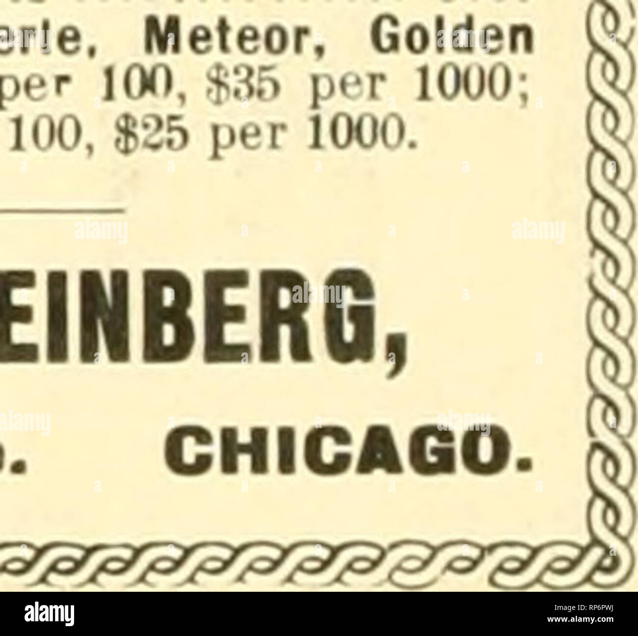 . The American florist : a weekly journal for the trade. Floriculture; Florists. METEOR ^ pe, per BRIDESMAiD ( iro 11 on DninF &gt; S^-in. pots. J3 00 .125.00 BHIUt I 3 •' ?? 4 00 35.00 LA fRANCE ) AMERICAN BEAUTIES, lifted from benches, $2.50 per 100, $20.00 per lOOO. The above is all clean, strong stock, ready for planting, no better to be had. I GEORGE REINBERG, t I 51 Wabash Ave., CHICAGO. ? ???&lt; M ROSE PLANTS Per 100 Am. Beauty, 3-in. pots $7.00 a-^-in. pots 5,00 Bride, Bridesmaid, Perle, Meteor, Golden Gate, 3-in. puts, J4 per 100, $35 per 1000; 2y,-in. pots, $3 per 100, $25 per 1000. Stock Photo