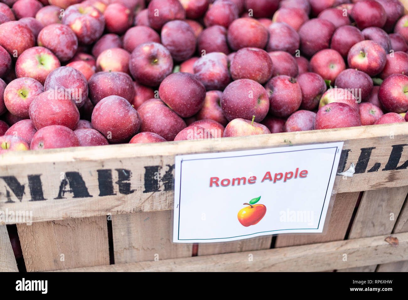 Markham, USA - October 5, 2018: Stribling Apple Orchard farm in northern Virginia with red Rome variety sort sign in wooden box for picking in garden  Stock Photo