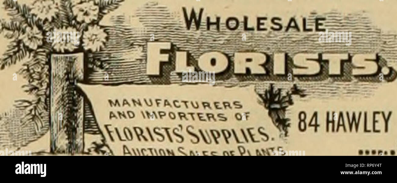 . The American florist : a weekly journal for the trade. Floriculture; Florists. 590 The American Florist. Nov. H Leo Niessen &quot;^^^jties. WHOLESALE FLORIST. After October 1st, Store will be open rem 7:00 A. M. till 8:00 P. M. VSLLEY, m? ArchsS PHILADELPHIA, PA. ORCHIDS. GEO. A. SUTHERLAND, Best Boston Flowers. All Florists' Supplies. Distributing Depot for the KORAL LETTERS. TtLEPHOHE 1270 MAIN. 34 Hawlcy St., BOSTON. N.F M&lt;^Carthy&amp;Coi,, ^Wholesale. ' ^?^ns^^ (=,(,^V^.M^?^% BOSTON. CHRYSANTHEMUM SEASON NOW ON. TELEPHONE SEND ORDERS. Best varieties at reasonable prices. SISI WELCH BR Stock Photo