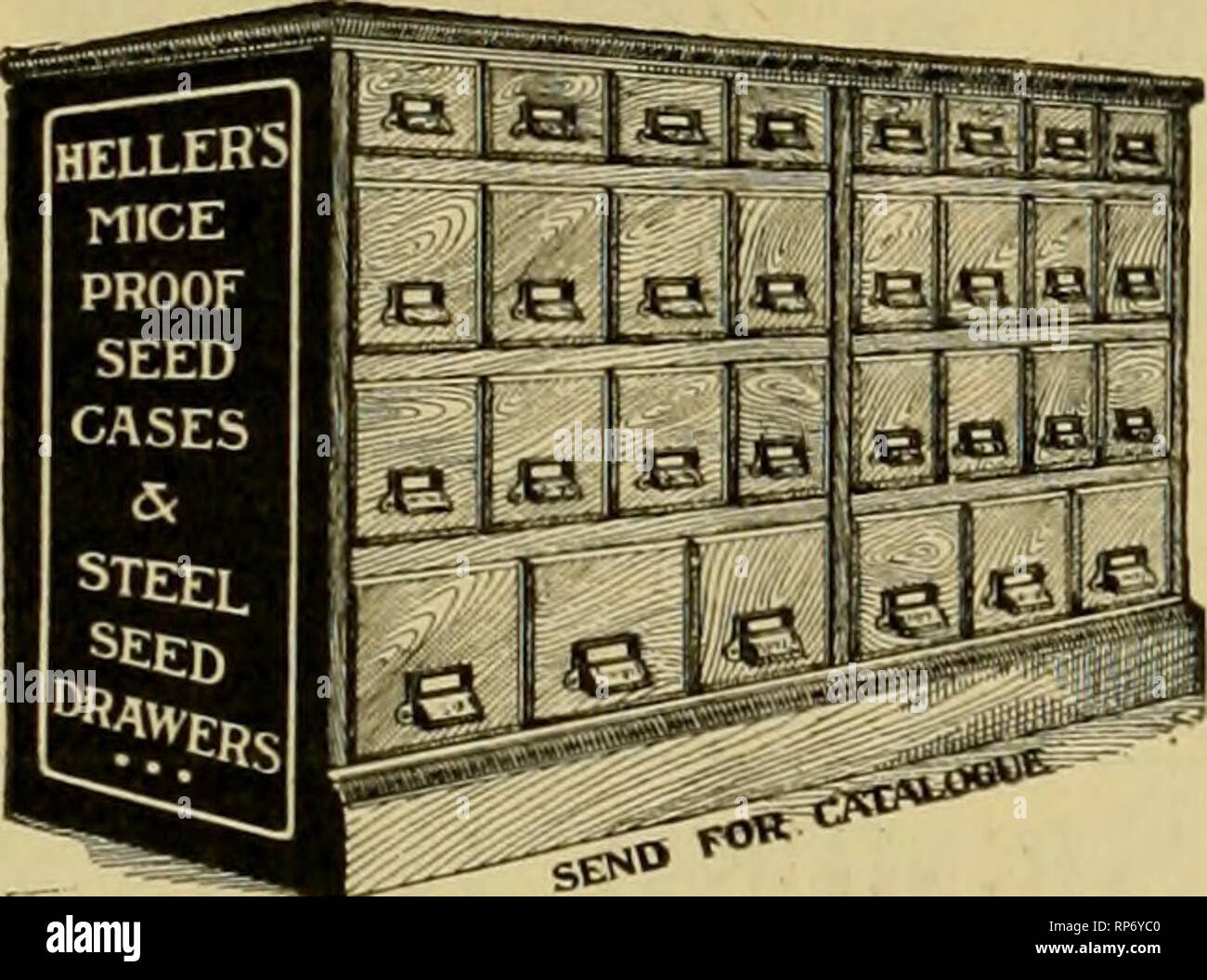 . The American florist : a weekly journal for the trade. Floriculture; Florists. SILVER BIRCH BARK WARE. Prices Per Doz.—Canoes, 9-in. $3 30; IC-in. $5.59: 15-in. $7 90; 18-in. (10 50; 21-in. J13 20; 34-in. Iie.eo. Logs, 6-in. $3.00; 9-in. $3.84; 13-iu. J4.80: 15-in. $6.00: 18-in. $7.30; il-in. $8.40; 24-in. $9.60. Pot Covers, 4-in. $3.40: 5-in. $3 00; 6-in. $3.96: 7-in. $5.04; 8-in. $5.88. Fern Covers, 4 in. $1.80; 5 in. $2.40; 6 in. $3 00: 7-in. $3.60; 8-in, $4.20. Boxes. 14-in. per doz. $11; 11-in. $9; y-in. *7. Referent^es; Geo. Wittbold Co., E. Wienhoeber, C. A. Saniuelson, i ?hicago. J.  Stock Photo