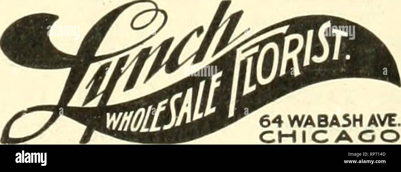 . The American florist : a weekly journal for the trade. Floriculture; Florists. igoo. The American Florist. 1303 niiiiiiiiiiiniiiiiiuiHiiuiiiiiiitiimimiuiiiiiiitiiiiuiimianniiiiiiininiiiiiuiitiiiiuitii! J. B. DEAMUD. 51 WABASH AVE.. CHICAGO. CATTLEYAS, $4.00 per Dozen. rer Dozen. AM. BEAUTIES, Ex, long J2.oO to 13.00 &quot; 24-inch stems, 2.0O 30 &quot; ?• 1.50 short &quot; 1.00 Per 100 CARNATIONS, fancy 12.00 to *3 00 &quot; standard vars. asst. 1.00 BRIDES 3.00to 4.00 BRIDESMAIDS 3.00 to 4.00 METEORS 3.00to 4.00 PERLES a.OOto 3.00 VALLEY S.OOto 4.00 TULIPS 2.00to 3.00 LIL. HARRISII e.OOto 8 Stock Photo