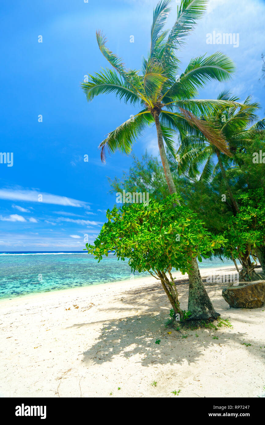 An idyllic beach with palm trees in Rarotonga in the Cook Islands Stock Photo