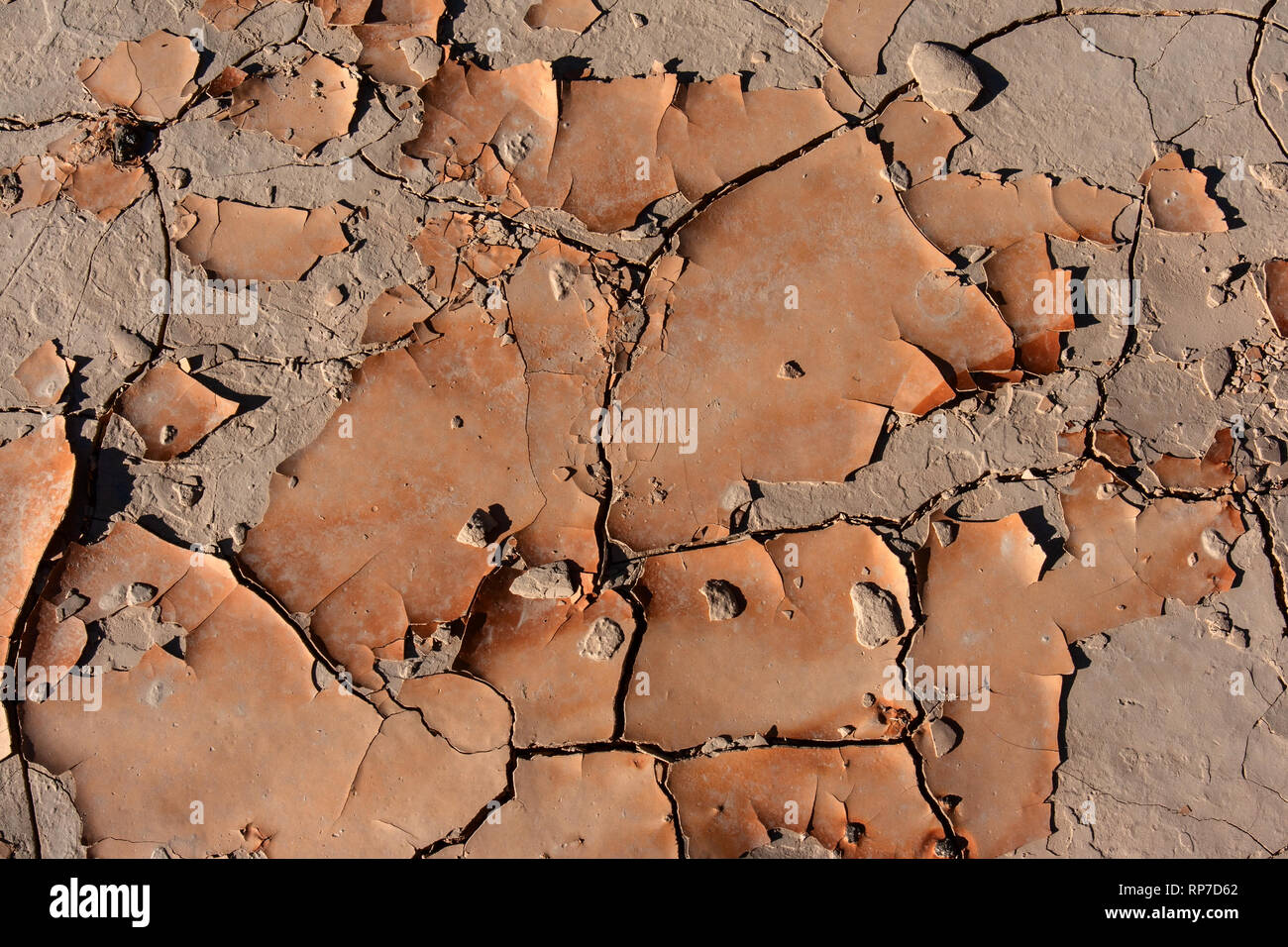 Flaking, sundried mud creates intricate textures on the floor of