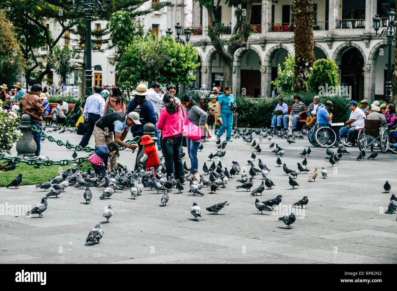 Street scene from the central park of Arequipa (Peru). A family with kids feeding pigeons, people in wheelchairs in the background. Stock Photo