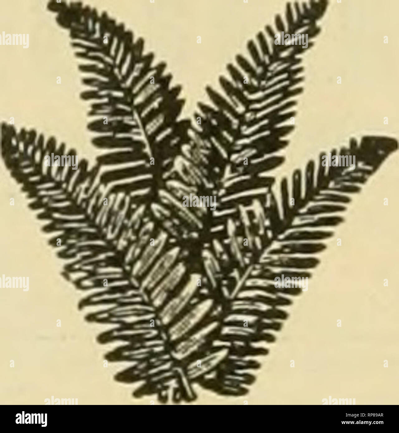 Madison Welch High Resolution Stock Photography And Images Alamy