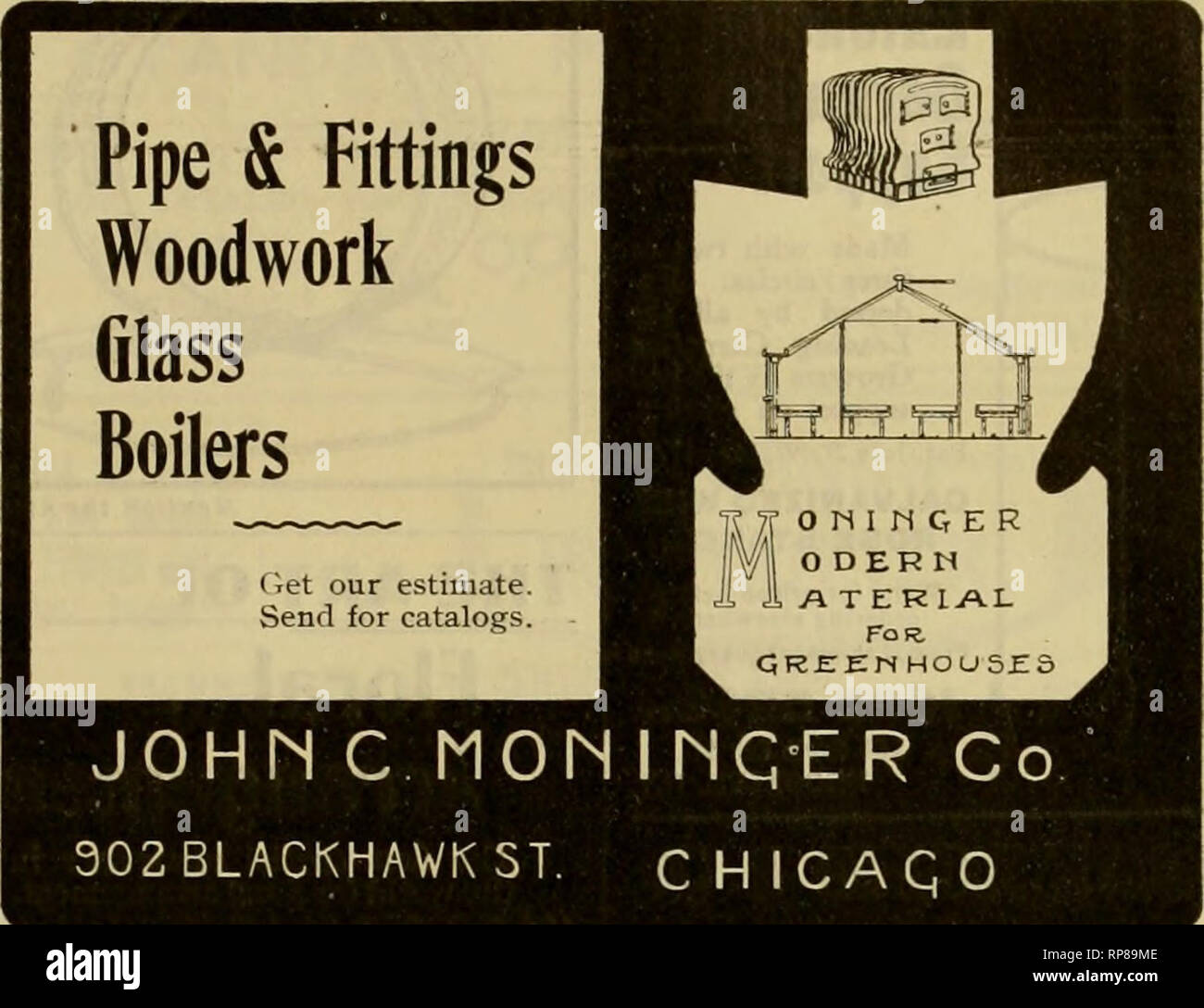 Standard Holly Stock Photos Standard Holly Stock Images Alamy