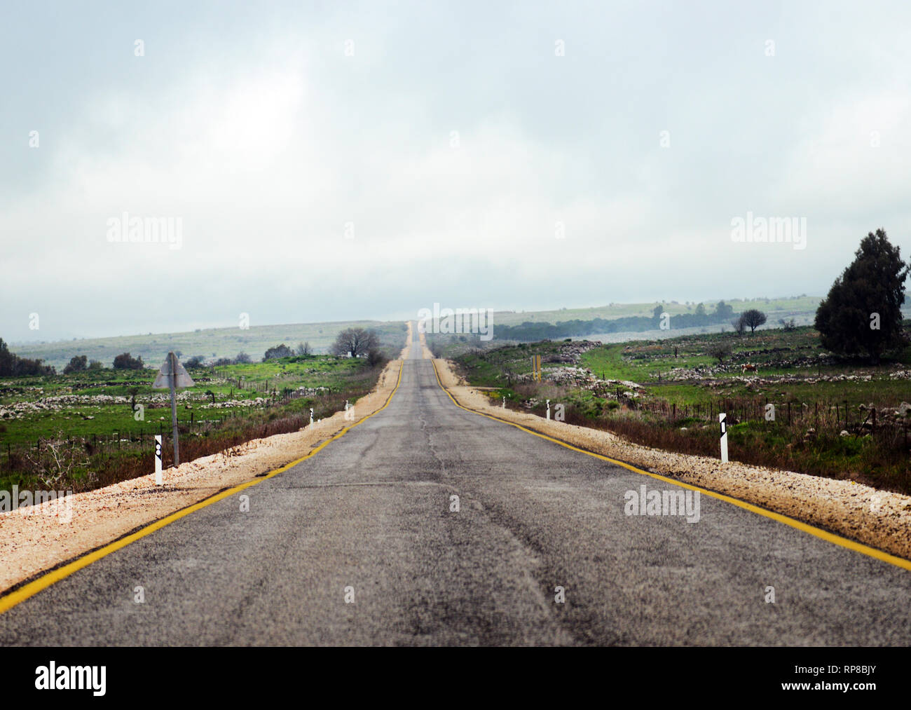 Traveling through the Golan Heights, Stock Photo