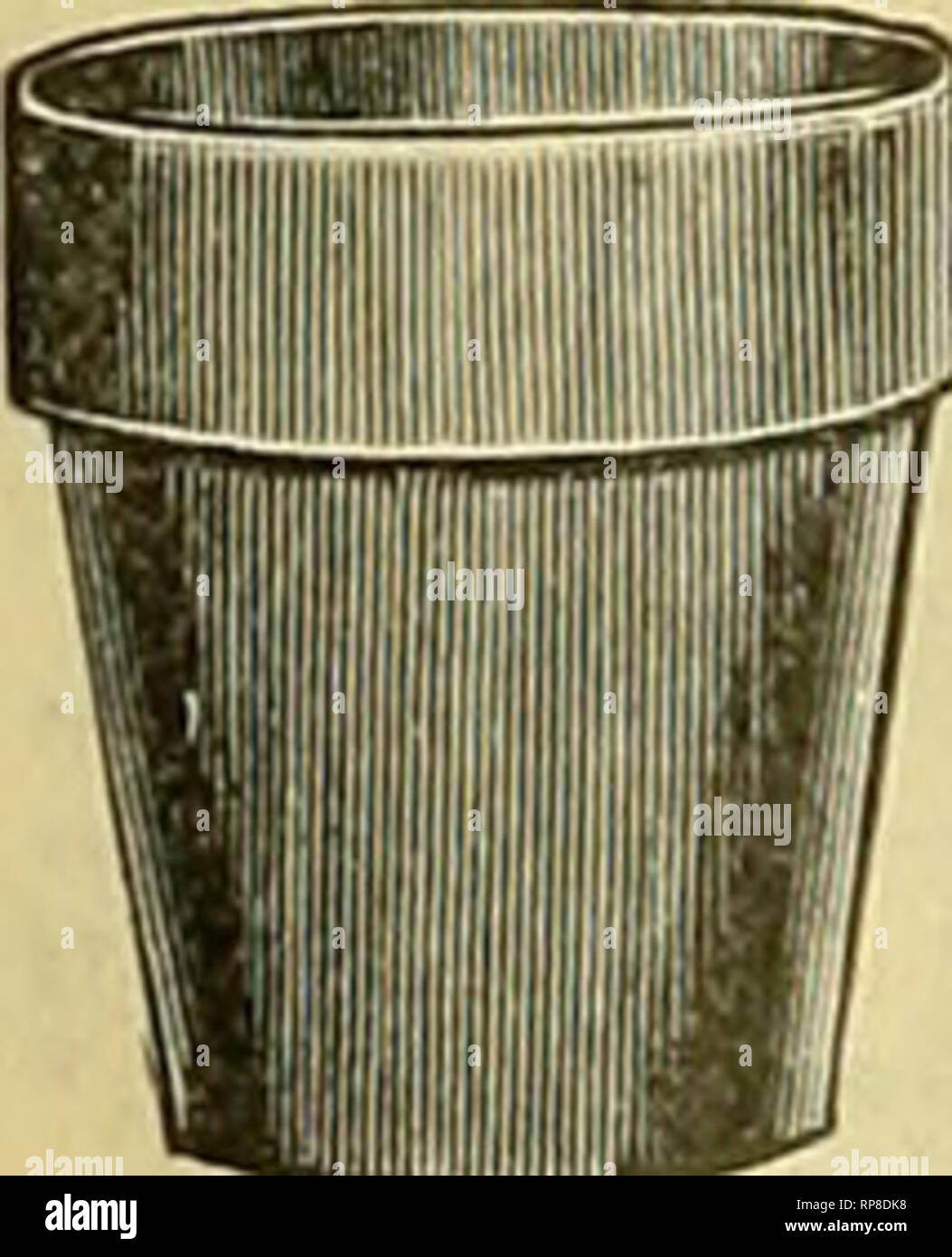 Money Plies Stock Photos Money Plies Stock Images Alamy