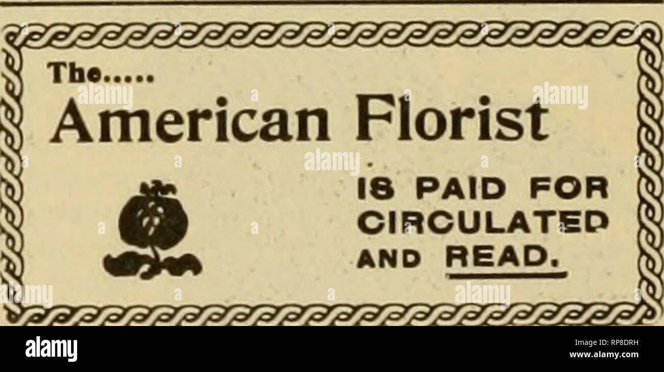 . The American florist : a weekly journal for the trade. Floriculture; Florists. 440 The American Florist. Oct. 17, The Nursery TRaE)B. AM. ASSOCIATION OF NURSERYMEN. N. W. Hale. Knoxville, Tenn.. Pres.; Frakk A. Wbbeb, St. Louis, Mo., Vioe-Pres.; George C. SsAeEB, Rochester, N. Y., Sec'y. Twenty-ninth annual convention, Atlanta, Ga., June, 1904. Leavenworth, Kas.—Dr. Joseph Stay- man, a noted horticulturist, originator of the Stayman apple and the Stayman strawberry, died October 5, at his home here, a?ed 86 years. In 1860 he took half a million fruit grafts to Kansas from Illinois. He was th Stock Photo