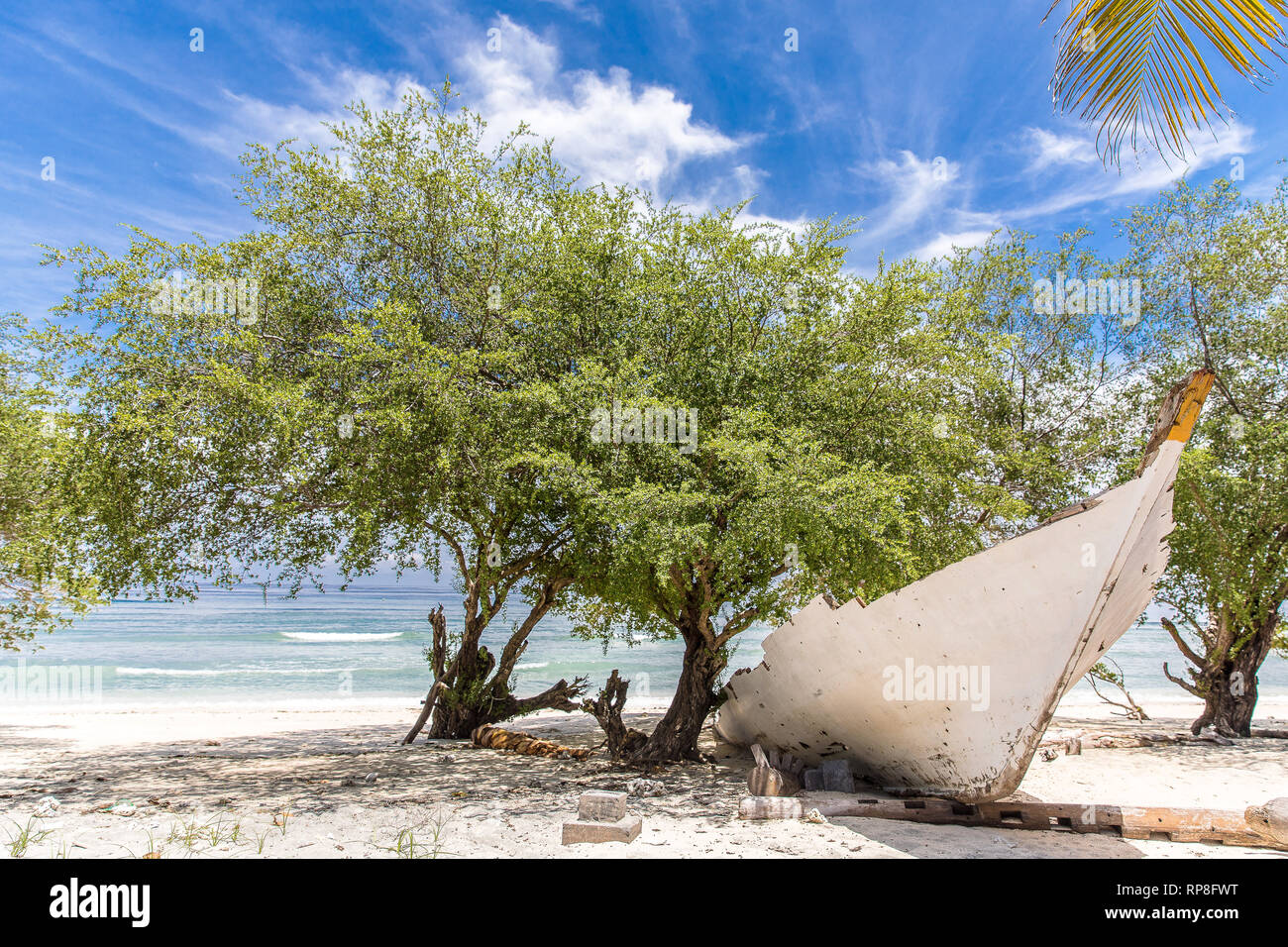 Indonesia, the old white boat on the waterfront on the island of Gili Trawangan and the dragon-like tree. Stock Photo