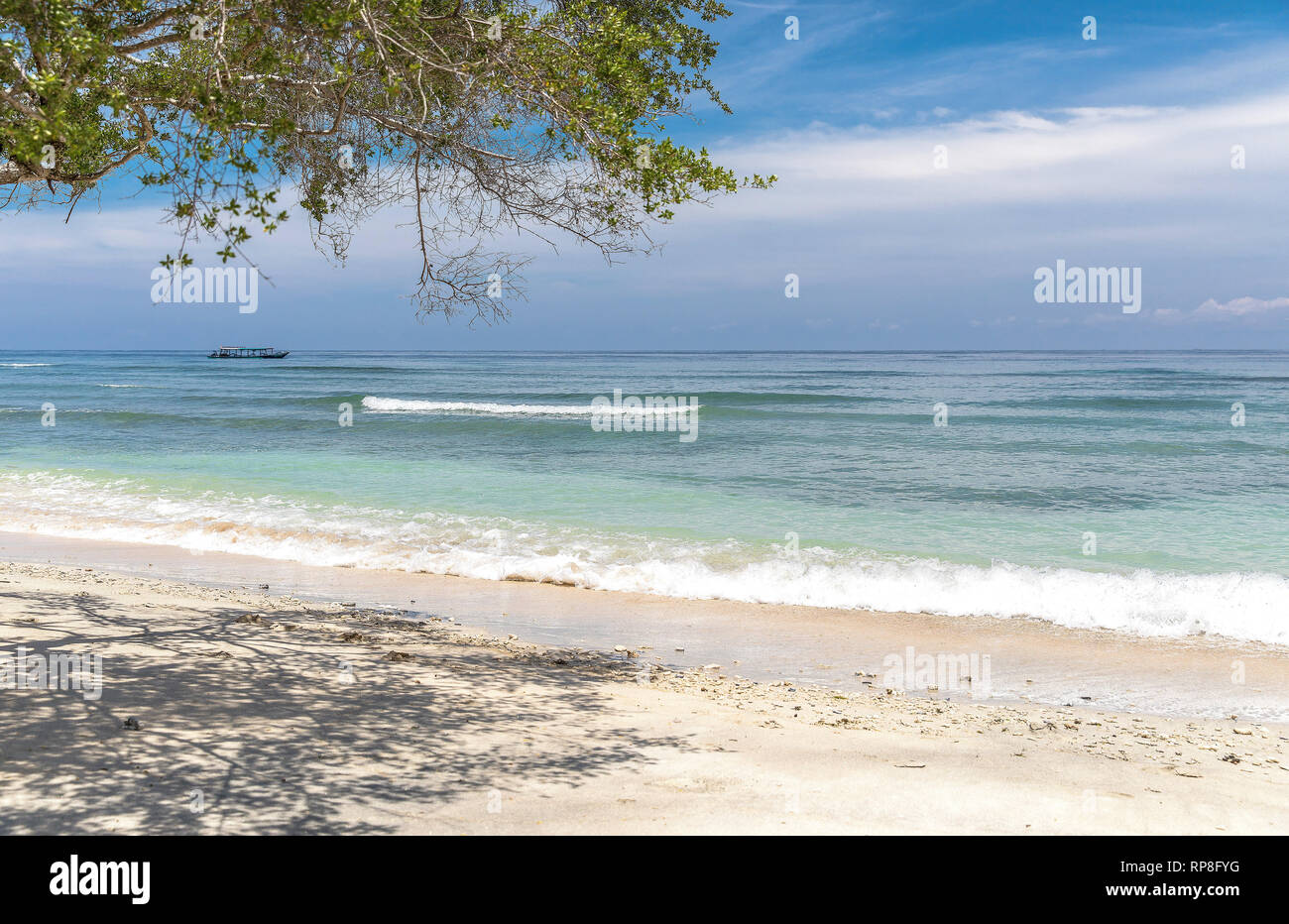 Tropical trees on the coast of Gili Trawangan in Indonesia. Stock Photo