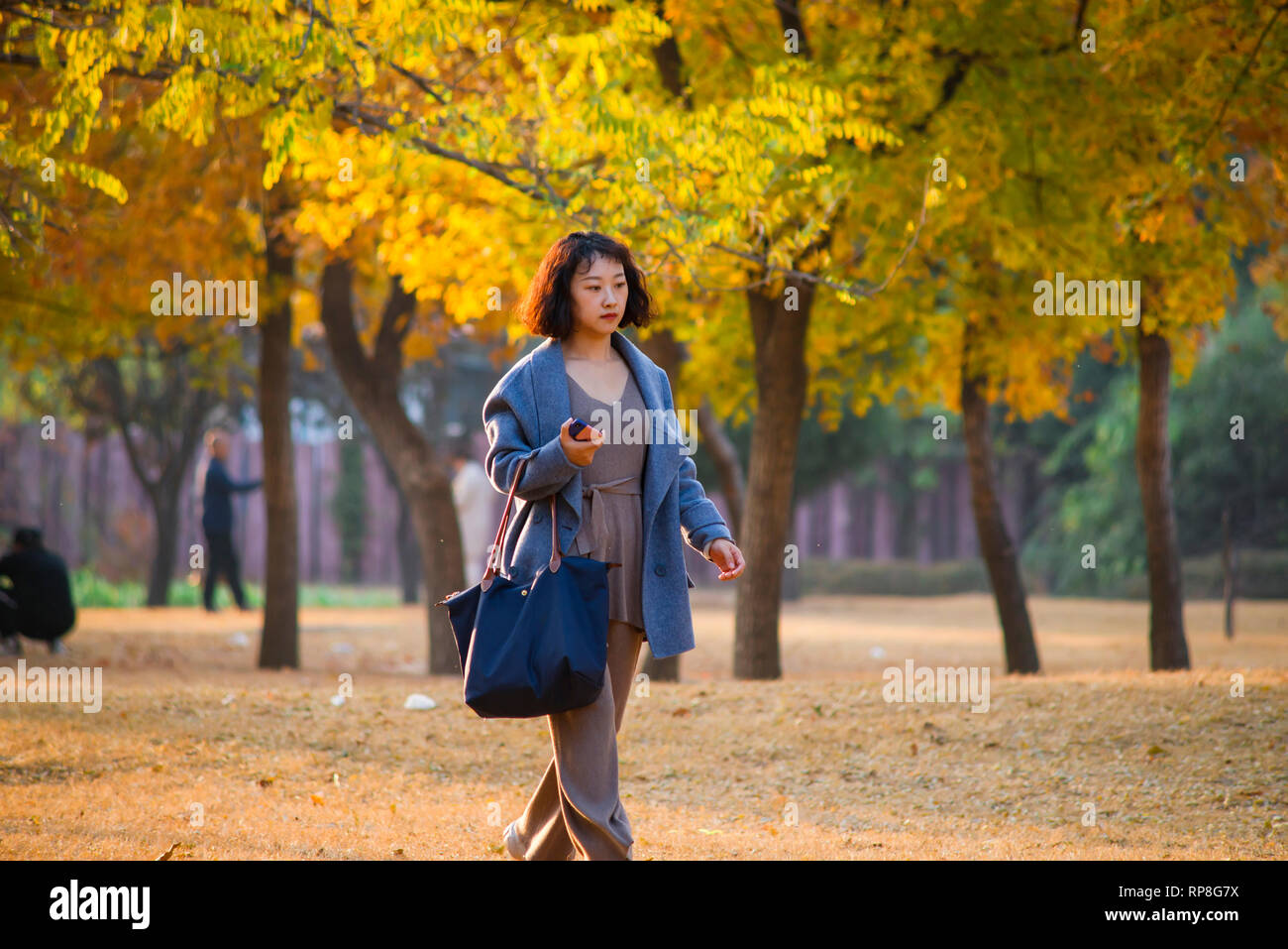 Woman walking through leaves hi-res stock photography and images - Alamy