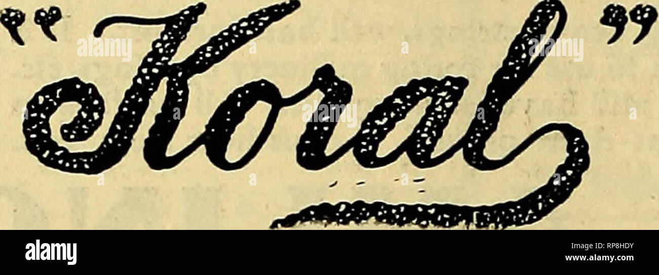 The American florist : a weekly journal for the trade. Floriculture;  Florists. 274 The American Florist. Mar. 21, BEAUTIES! Samuel $.Pennock  LIBERTIES! PHILADELPHIA. GEO. A. SUTHERLAND, 34 Hawley St., BOSTON.  Telepbone