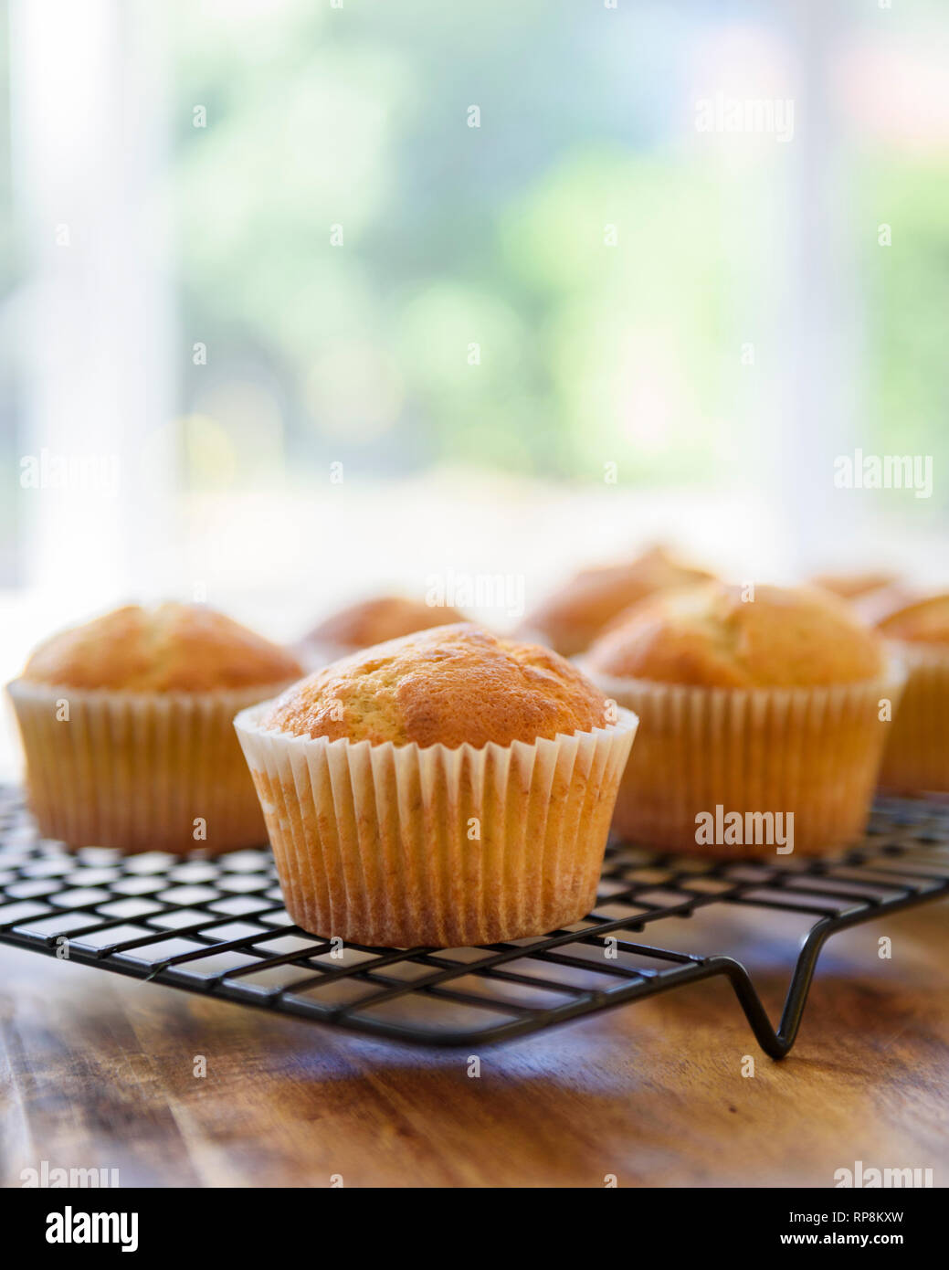 Undecorated cupcakes cooling on cake rack, homemade Stock Photo