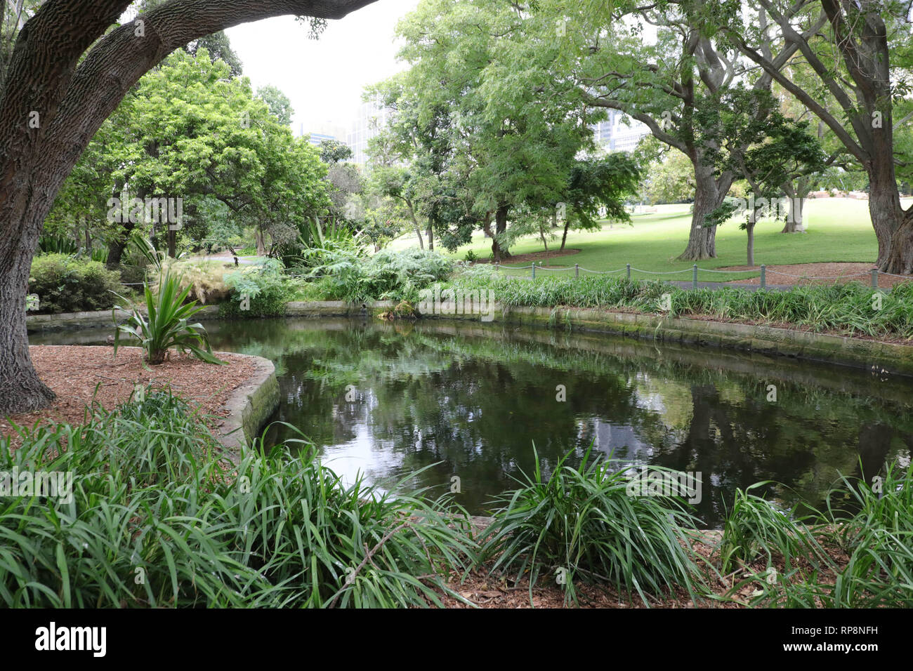 Twin Ponds, Royal Botanic Garden, Sydney, Australia Stock Photo Alamy