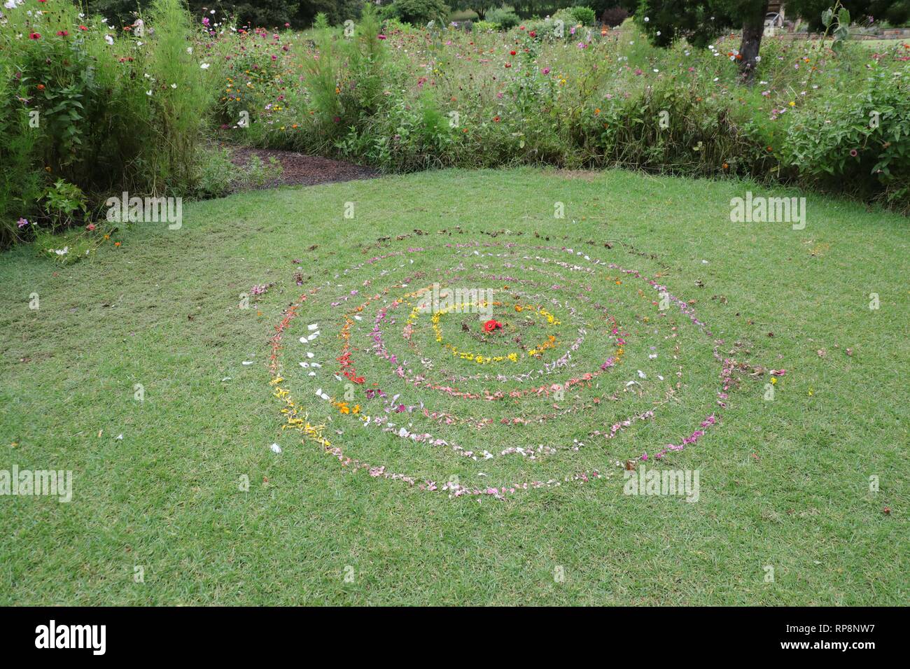 A circular pattern made from flower petals in the Royal Botanic Garden ...