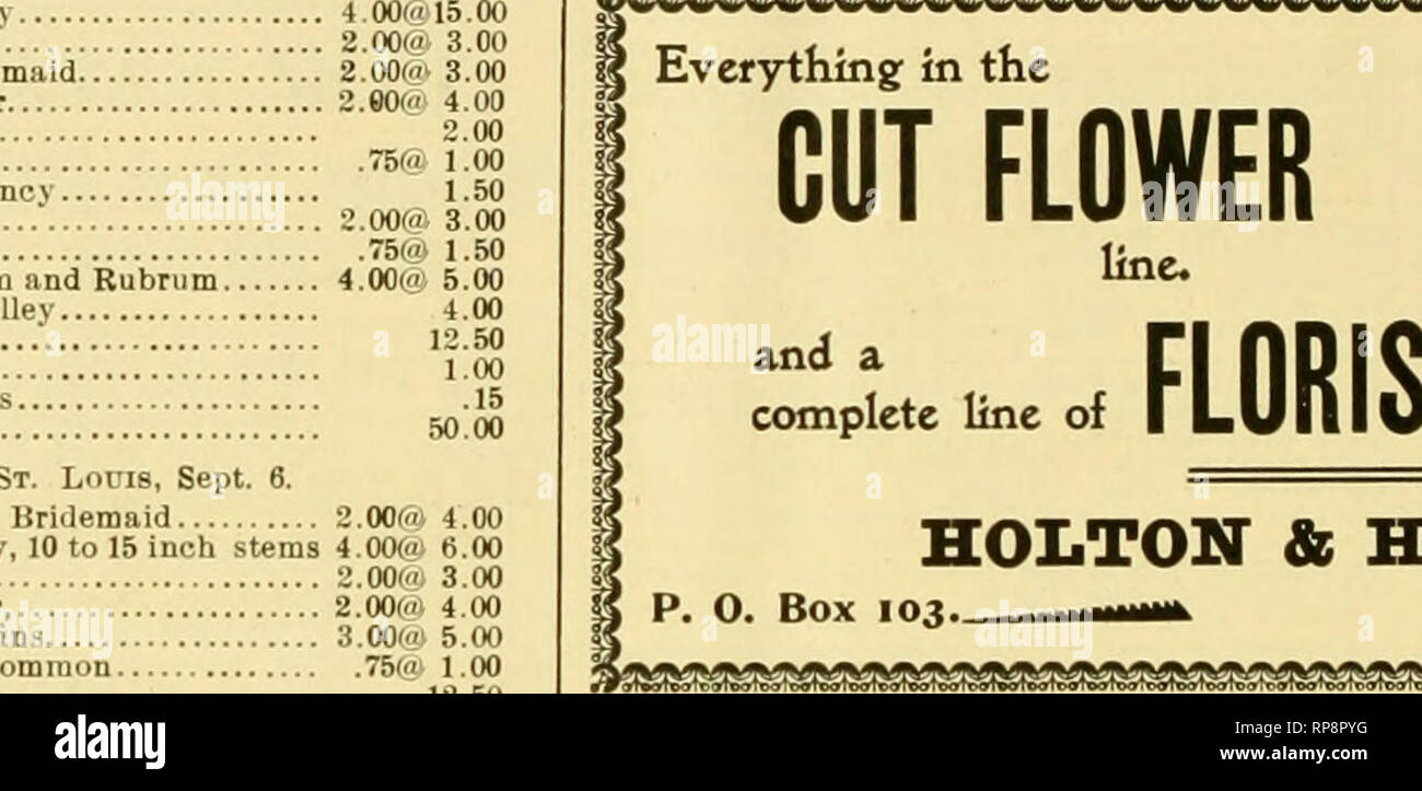 . The American florist : a weekly journal for the trade. Floriculture; Florists. 206 The American Florist. Sept. 8, Manchester-by-the Sea. K'ass. The first annual show of the North Shore Horticultural Society was held at the town hall on Tuesday, August 28, and was an unqualified success. W. F. Spry, H. Thiemann, gardener to Senator McMillan; Jos. Clarke, gardener to H. L. Higginson; T. W. Head, gardener to J. L. Thomdike; W. Griffin, gardener to R. C. Winthrop; J. Macgregor, gardener to Miss Thayer; H. Katen, W. B. Walker, H. Clark and others, contributed largely of plants, flowers, etc. The  Stock Photo