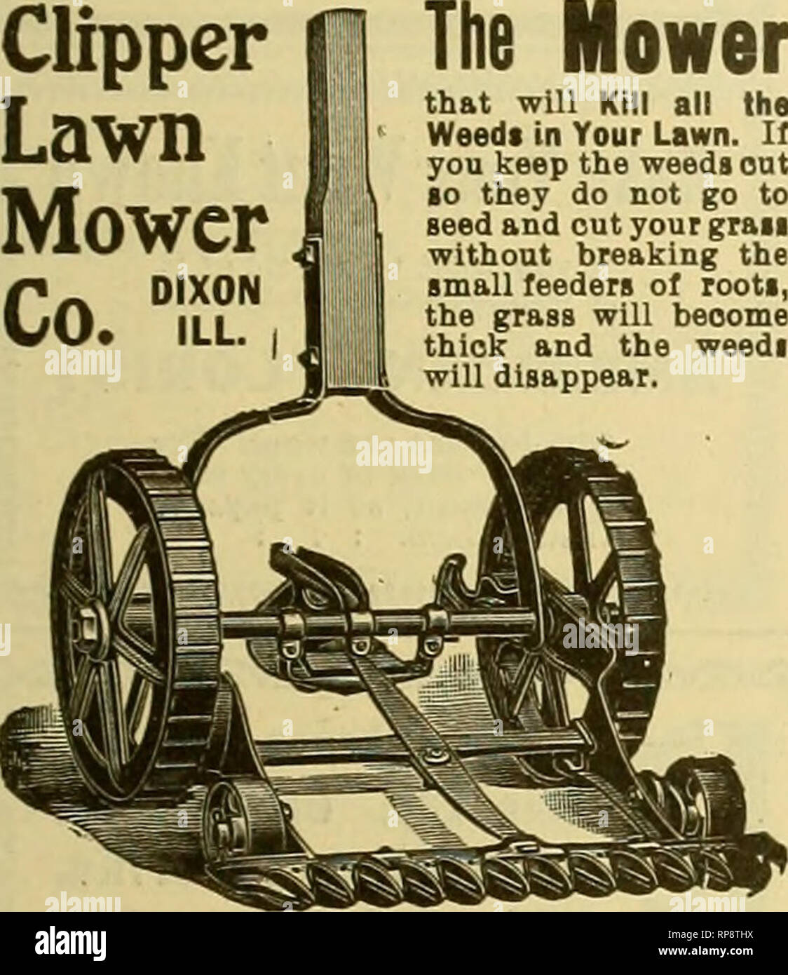 The American florist : a weekly journal for the trade ...