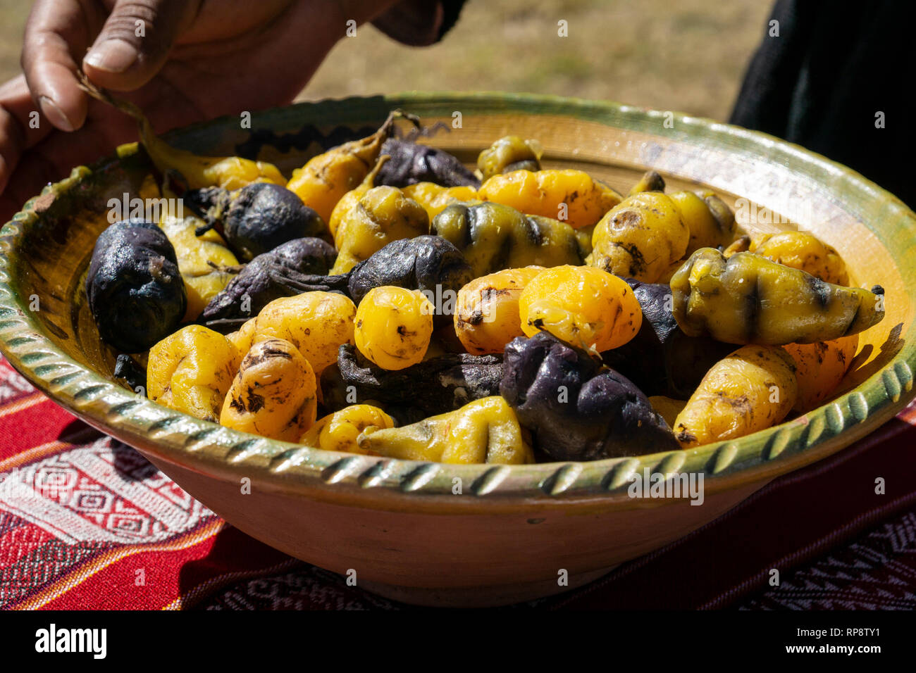 Incan traditional recipe purple and gold potatoes in ceramic bowl. Stock Photo