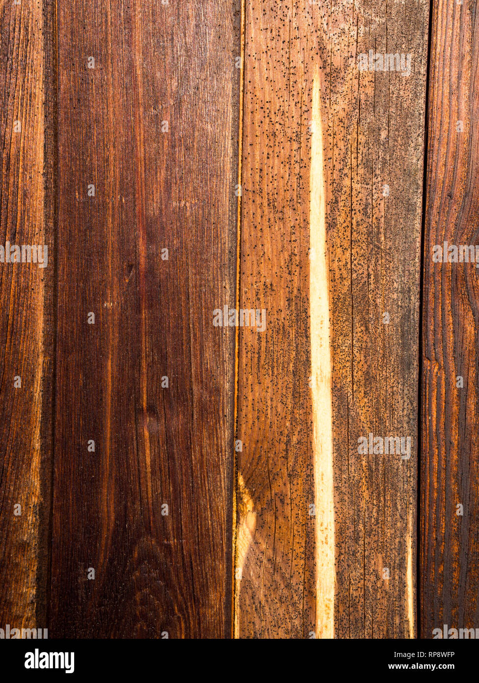 Old Rustic Wood With Mold Or Fungal On Top Background Texture