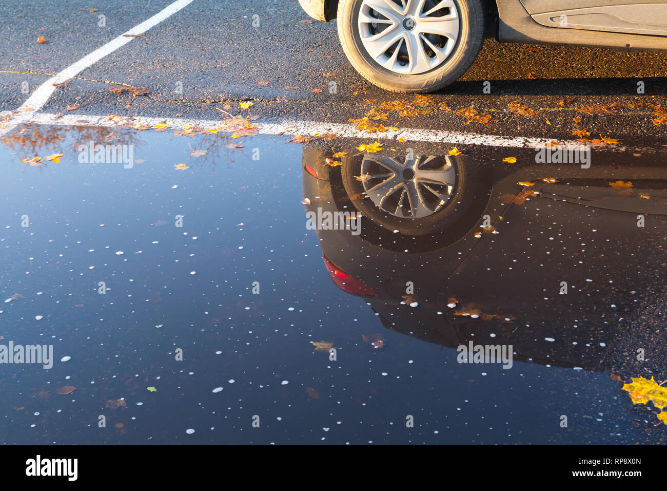 Autumn rain puddles with foliage and car reflection on a parking Stock ...