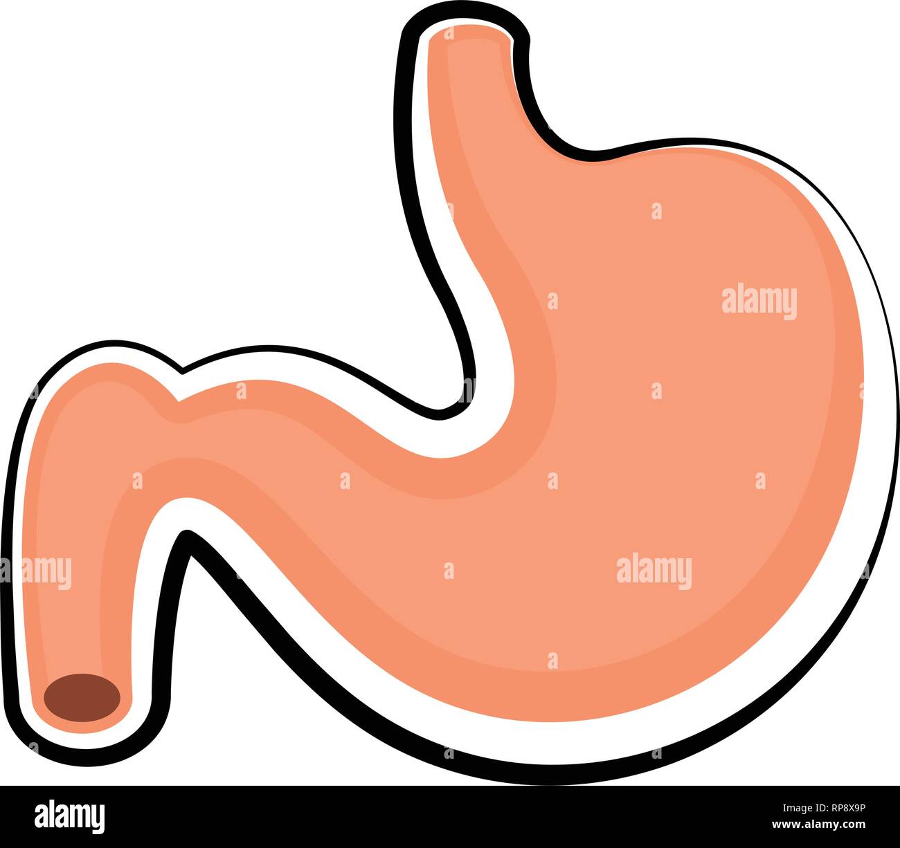 Internal Organ Stomach Isolated Sketch Digestive System Vector Digestion  And Digestive System Organism Physical Structure Eating Medicine And  Healthcare Abdomen Monochrome Drawing Physiology Royalty Free SVG  Cliparts Vectors And Stock Illustration 