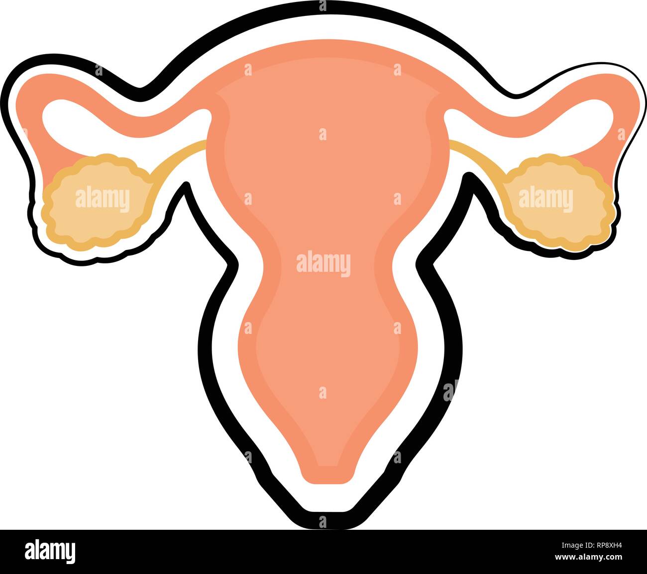 Female Reproductive System Colored Sketch Stock Vector Image And Art Alamy