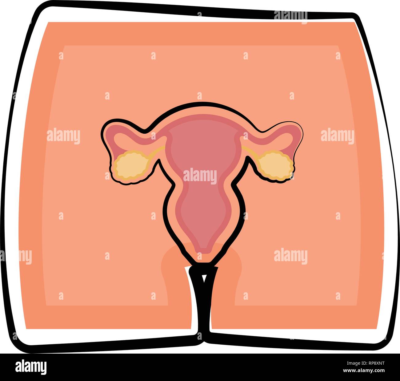 Female Reproductive System In A Body Stock Vector Image Art Alamy