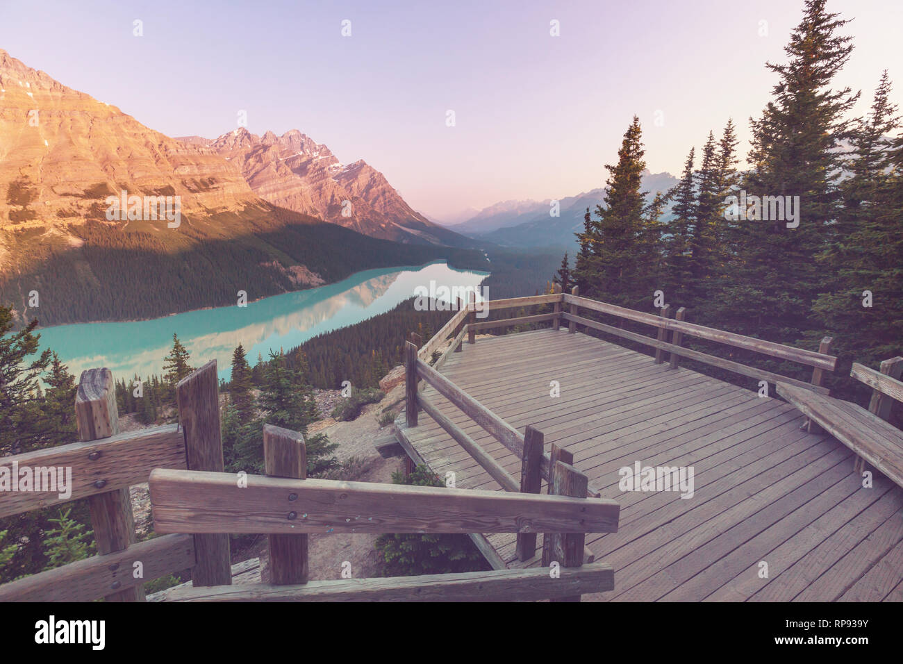 Peyto Lake in Banff National Park, Canada Stock Photo - Alamy