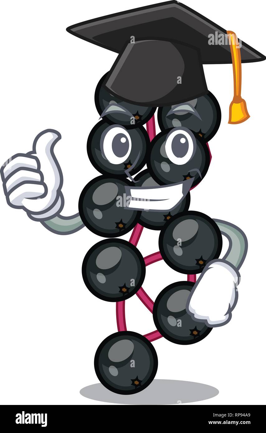 Graduation eldeyberry in a cartoon fruit basket Stock Vector Image