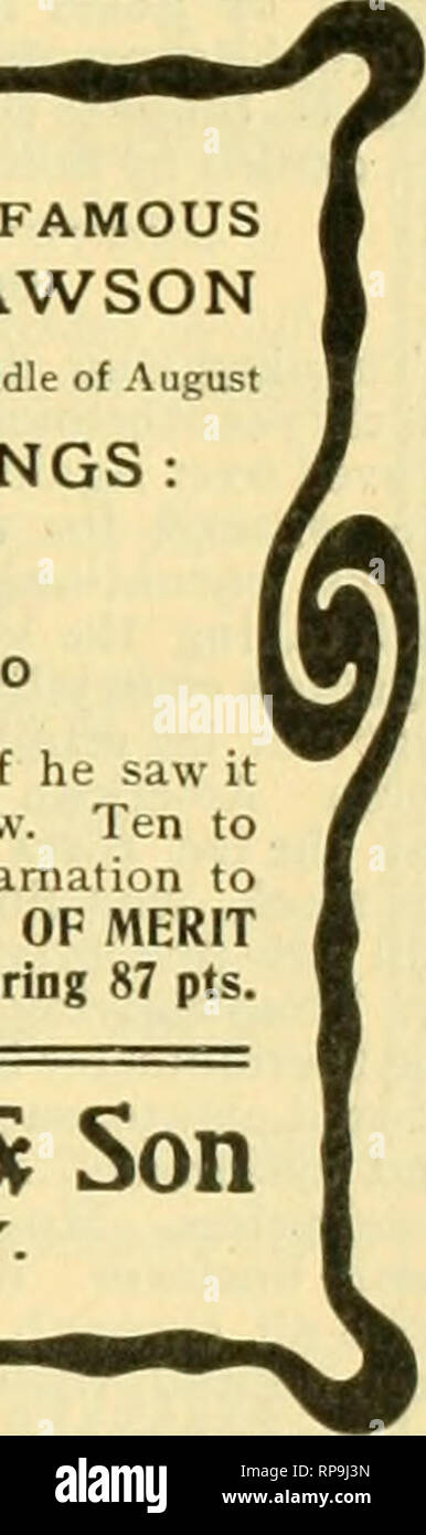 . The American florist : a weekly journal for the trade. Floriculture; Florists. NOW BEADY! SPORT FROM THE FAMOUS MRS. THOMAS LAWSON Planted May iSth, in full crop middle of August ROOTED CUTTINGS: $10.00 per 100 $40.00 per 500 $75.00 per 1000 Ask your Brother Florist if he saw It at the Detroit Carnation Sliow. Ten to one he will say it's a good carnation to grow. Received CERTIFICATE OF MERIT at Detroit Carnation Show—scoring 87 pts. W. J. Palmer &amp; Son LancBLSter. N. Y.. New Carnation wm. penn A ?ery pleasing shade of pink, the best bloomer I ever saw and a good healthy grower. Every gro Stock Photo