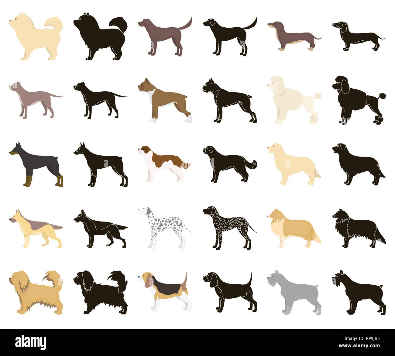 animal,beagle,bernard,boxer,breed,breeding,breeds,bull,care,carnivorous,cartoon,black,chao-chao,collection,collie,concept,dachshund,dalmatian,decorative,design,different,doberman,dog,element,eps,face,gray,hair,icon,illustration,isolated,labrador,logo,mammal,mittelschnauzer,official,paw,pet,pikines,pit,poodle,pug,retriever,set,shepherd,sign,symbol,vector,web,white Vector Vectors , Stock Vector