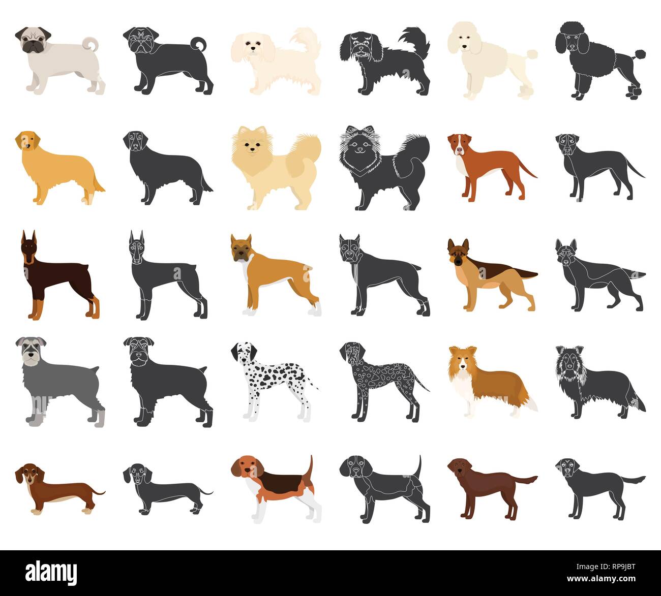 animal,beagle,boxer,breed,breeding,bulldog,care,carnivorous,cartoon,black,collar,collection,color,competition,dalmatian,decorative,design,different,doberman,dog,domestic,hound,icon,illustration,isolated,labrador,logo,mammal,mastiff,official,pet,pooch,prize,retriever,set,shepherd,sign,spaniel,species,spitz,symbol,terrier,training,vector,walk,web Vector Vectors , Stock Vector