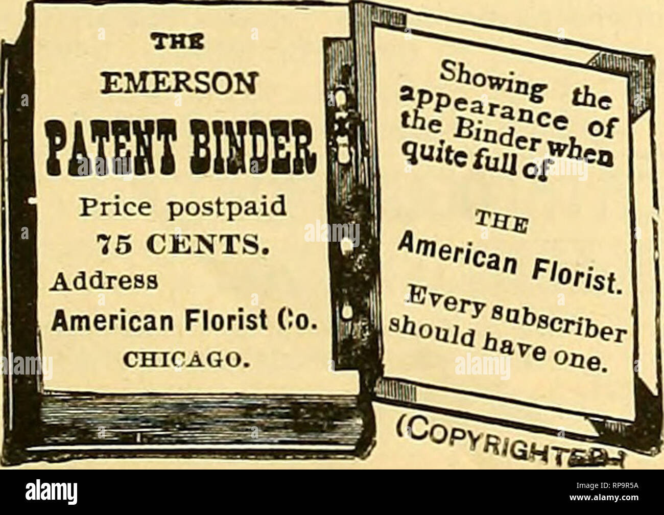 . The American florist : a weekly journal for the trade. Floriculture; Florists. IMPORTED ORCHIDS. Cattleya Mossiae just arrived in splendid condition. East Indian 0 chlds have arrived. Among them will be a grand lot of Vanda Coerulea, Cypripedium Insigne, collected in the original district from which all the choicest varieties have come, Cymbidium Eburneum, C. Masters!!, C. Devonianum, C. Glgan- teum. Also Dendrobium Nobile. D. Farmersii. D. Chrysotoxum, D. Thyrsiflorum. 0. Aureutn, D. Densiflorum. D. Devonianum, D. Cambridgea'um and other Dendrobes, together with a small lot of Phajus Wallic Stock Photo