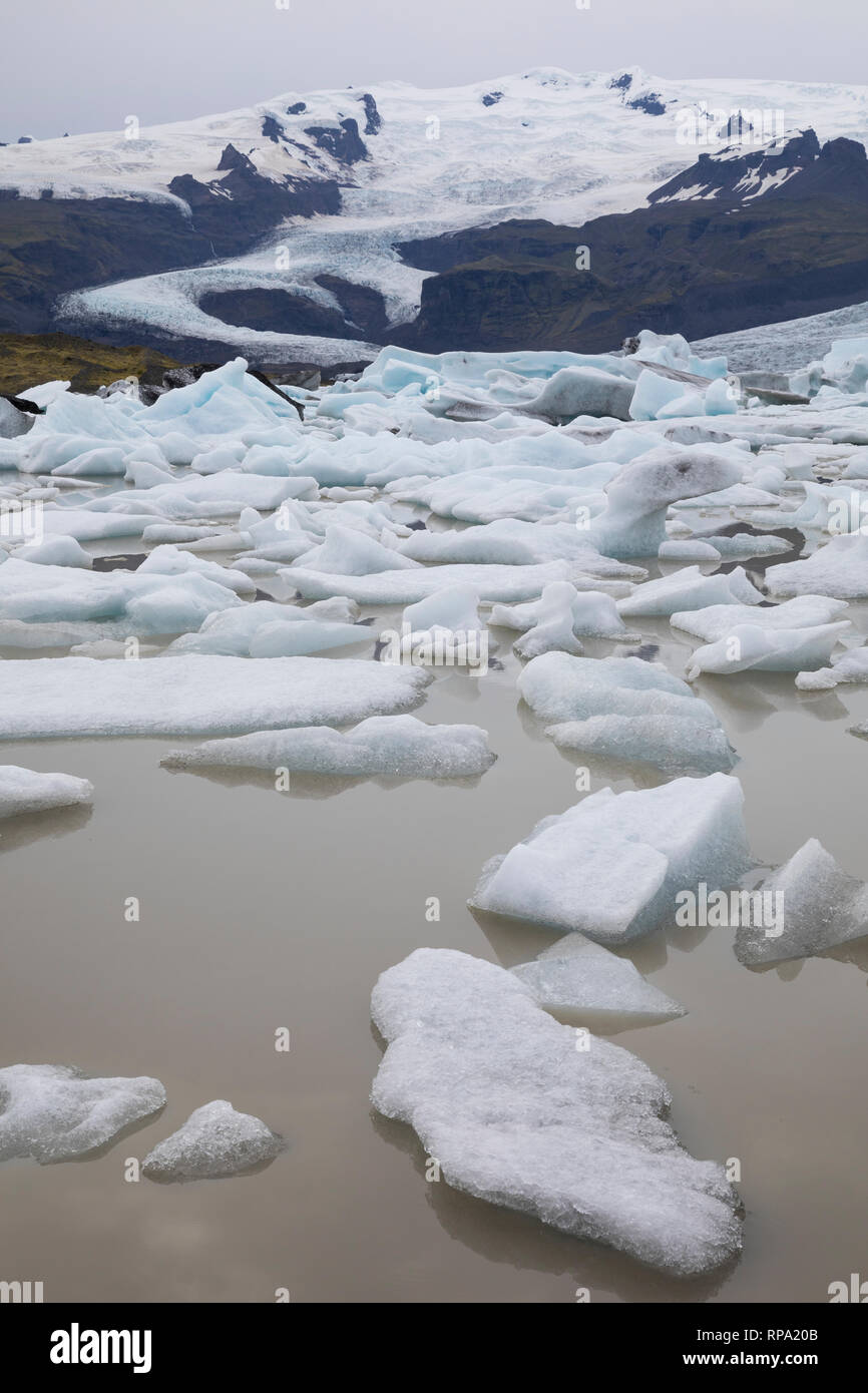 Gletschersee Fjallsárlón, Fjallsarlon, Gletscherlagune am Gletscher Fjallsjökull, Gletscherzunge, Gletschereis, Eis, Eisschollen, Vatnajökull National Stock Photo