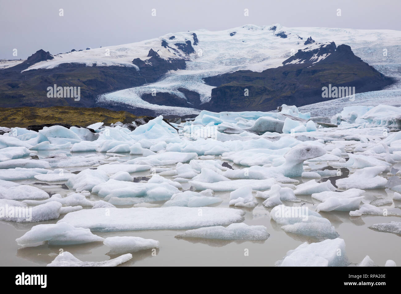 Gletschersee Fjallsárlón, Fjallsarlon, Gletscherlagune am Gletscher Fjallsjökull, Gletscherzunge, Gletschereis, Eis, Eisschollen, Vatnajökull National Stock Photo