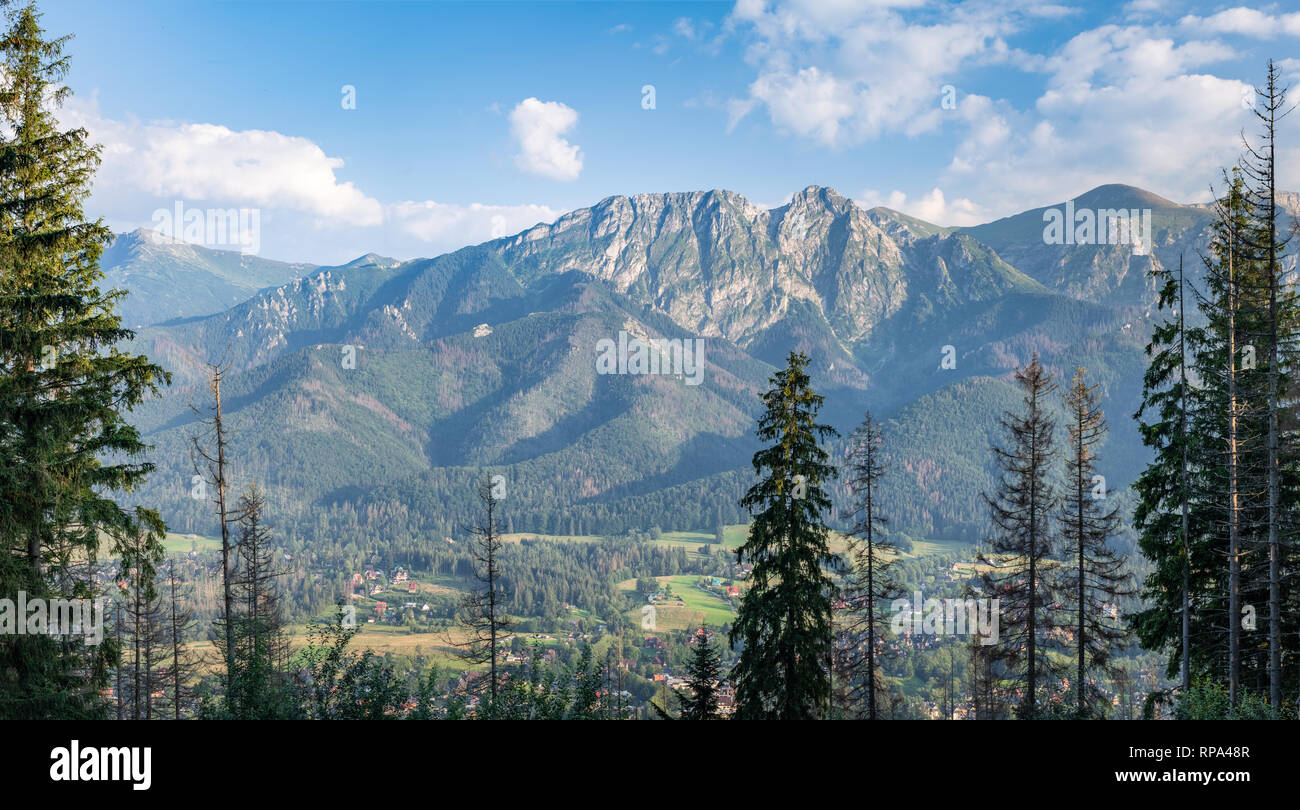 Scenic panorama mountain landscape with evening light and trees at summertime in Zakopane, Poland Stock Photo