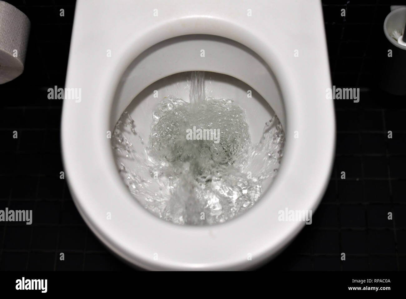 Munich, Deutschland. 14th Feb, 2019. Water flushing in a toilet bowl, toilet, toilet, rinse, down flush, shoer, toilet., Usage worldwide Credit: dpa/Alamy Live News Stock Photo