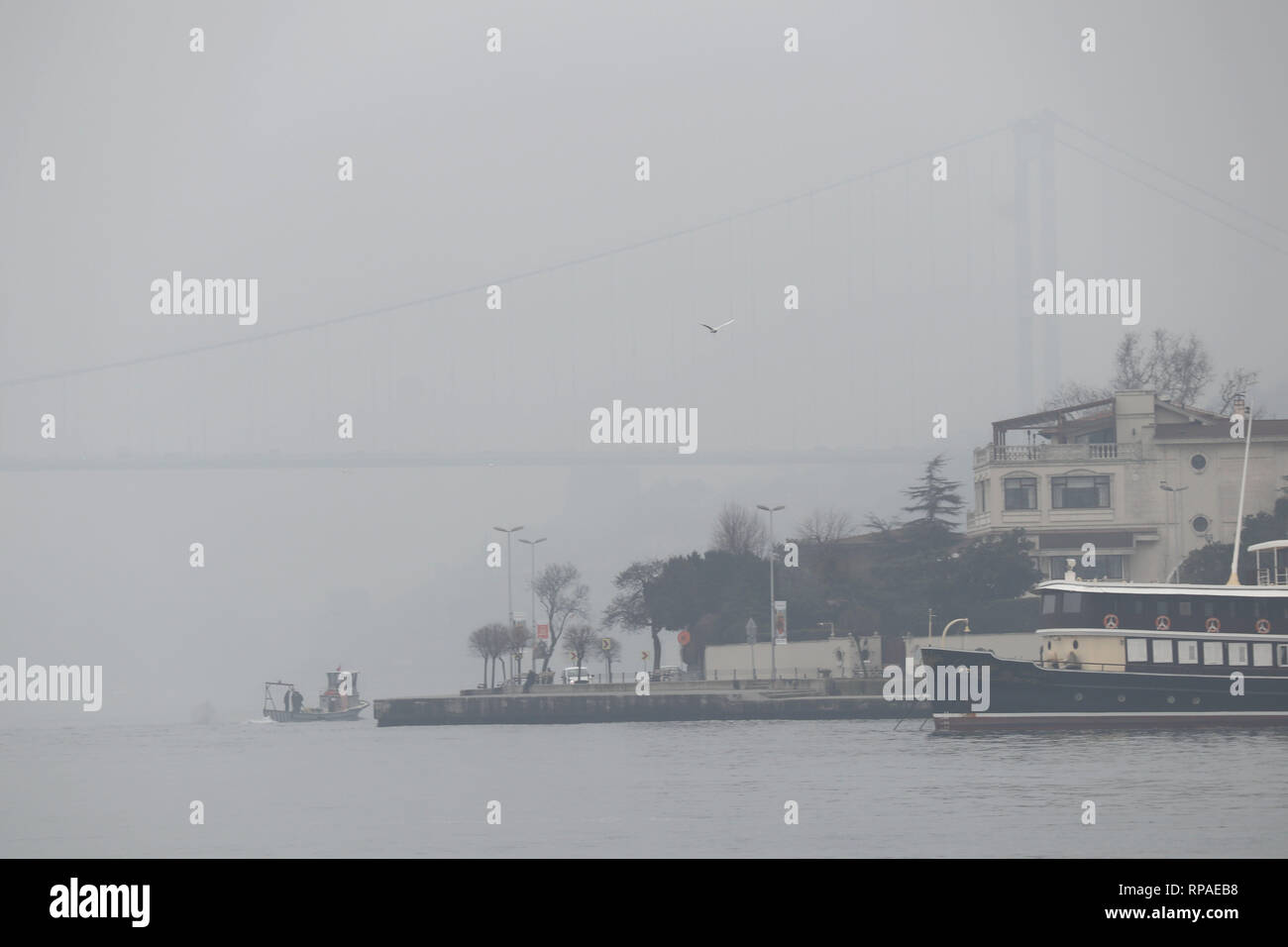 Istanbul, Turkey. 21st Feb, 2019. The Bosphorus strait is covered in heavy fog in Istanbul, Turkey, Feb. 21, 2019. Heavy fog hit Turkey's largest city Istanbul on Thursday, causing hundreds of flights and ferries to be canceled or delayed. Credit: Xu Suhui/Xinhua/Alamy Live News Stock Photo