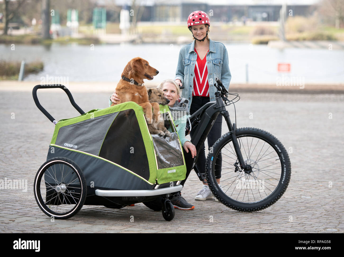 Essen, Germany. 21st Feb, 2019. Model Svenja kneels next to a Coozer dog  bike trailer, in which her dogs Bella and Lutz are sitting, at a photo  shoot at the fair Fahrrad